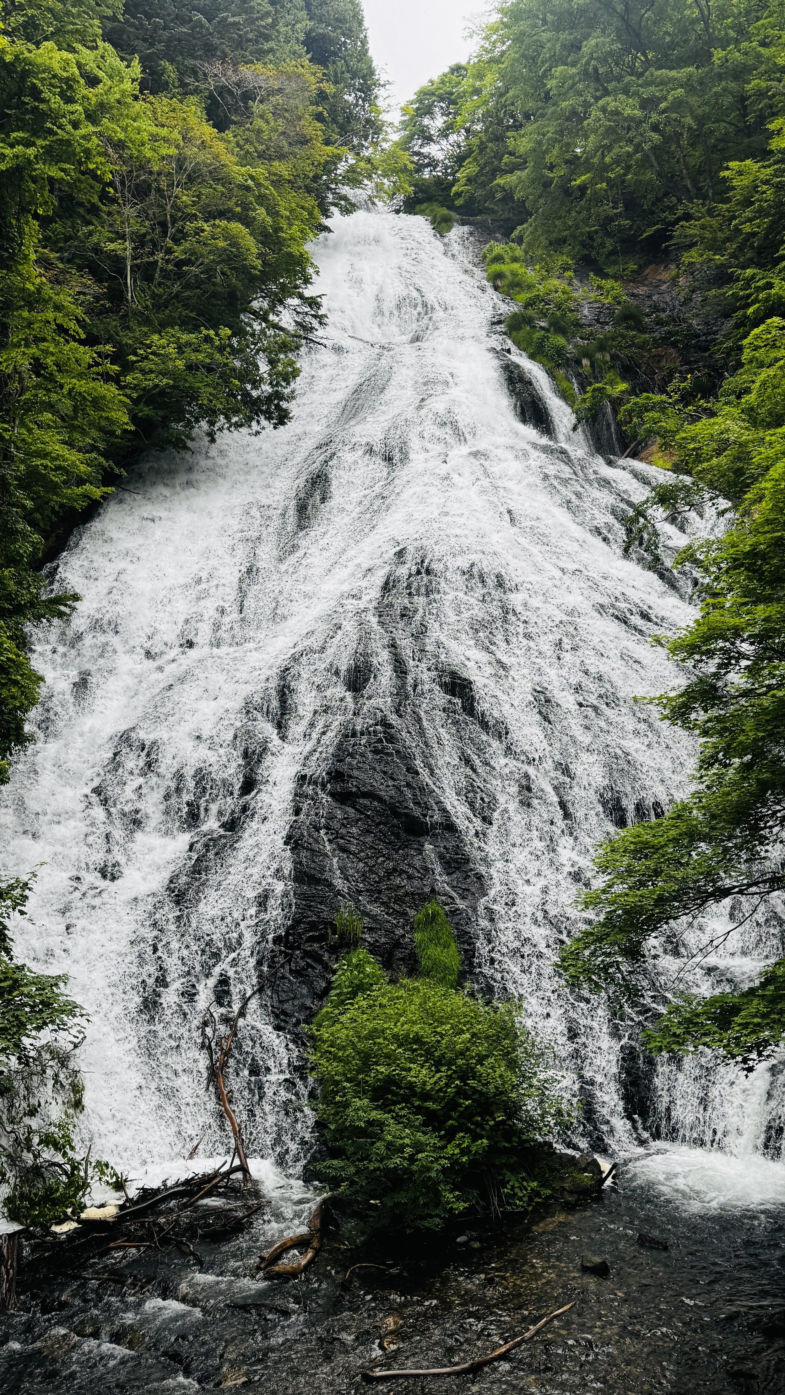 Waterfall cascading down rocks amidst lush green trees.