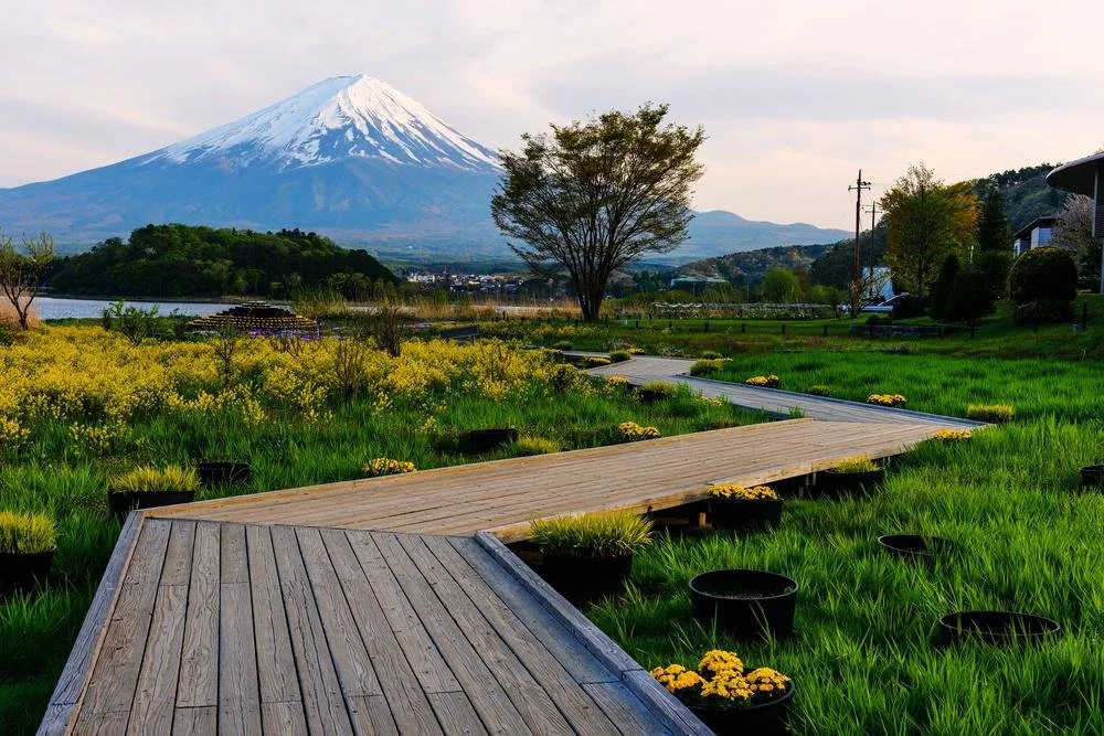 Oishi Park boardwalk at Lake Kawaguchi with Mount Fuji across the water