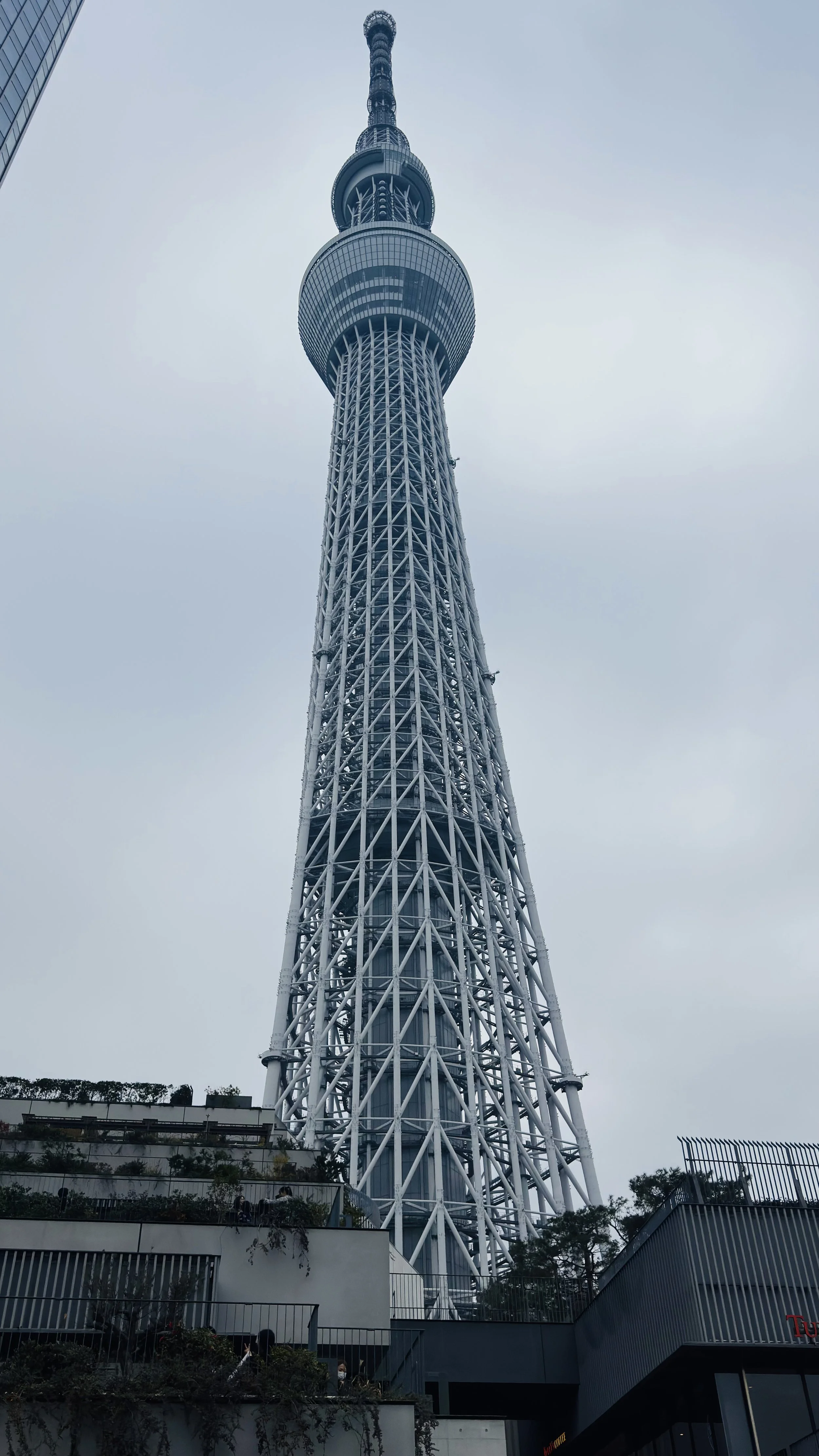 A tall, lattice-structured communication tower with an observation deck and antenna at the top, against a cloudy sky.