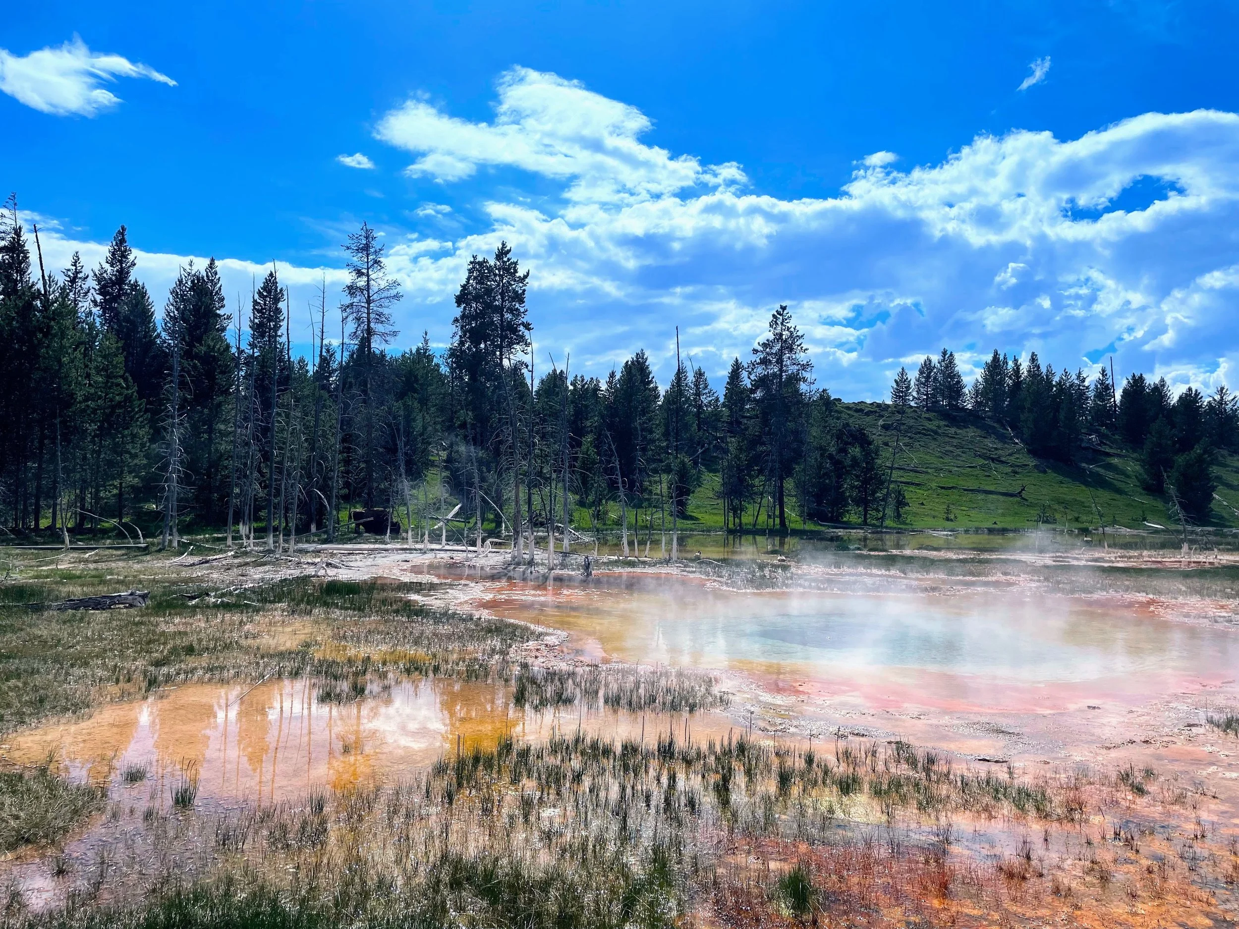 Rainbow-colored geothermal spring in Yellowstone National Park.