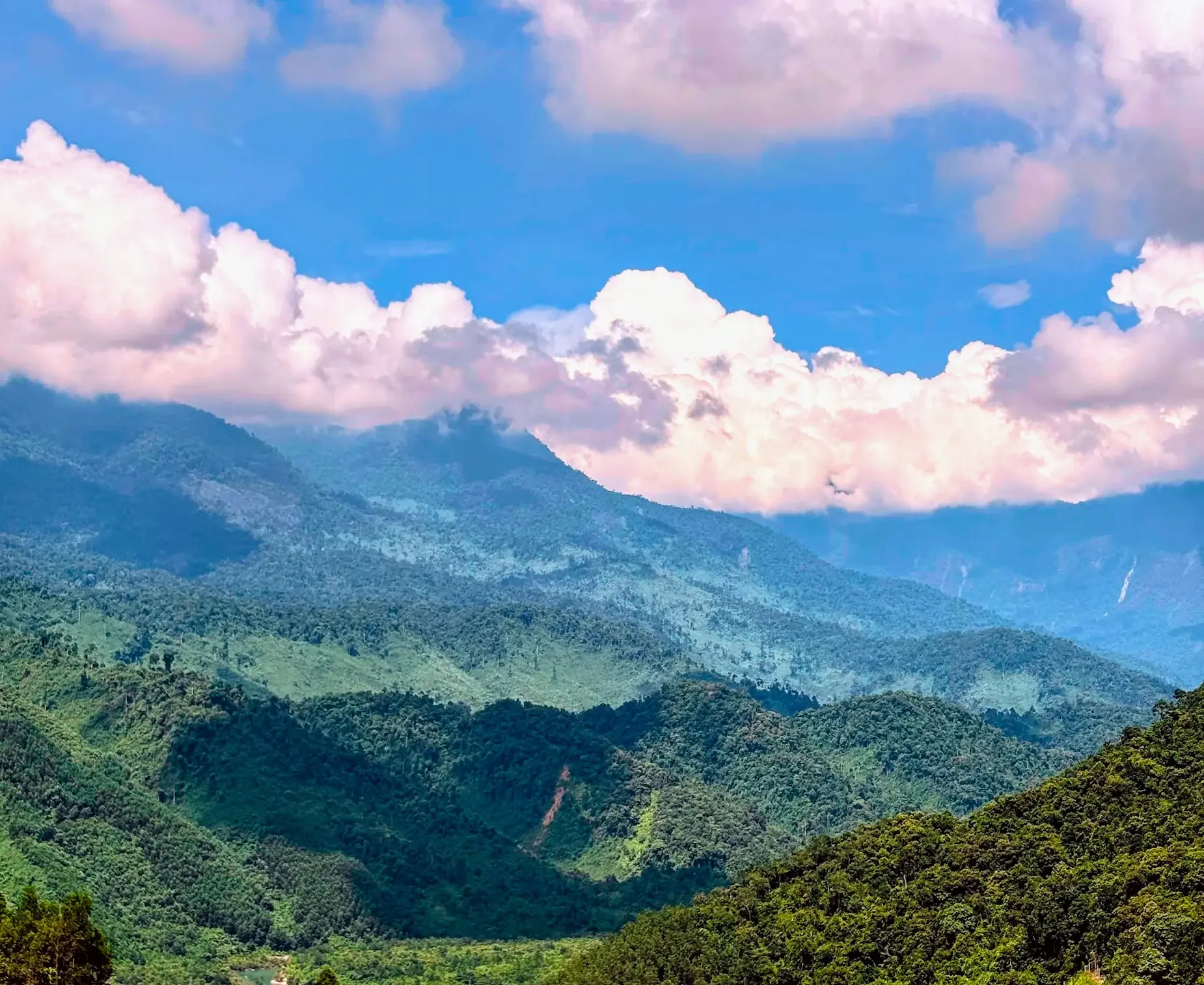 7 Reasons Digital Nomads Love Da Nang