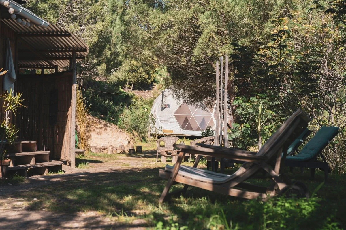 A backyard with two lounge chairs and a small table, surrounded by trees and bushes, with a geodesic dome in the background.