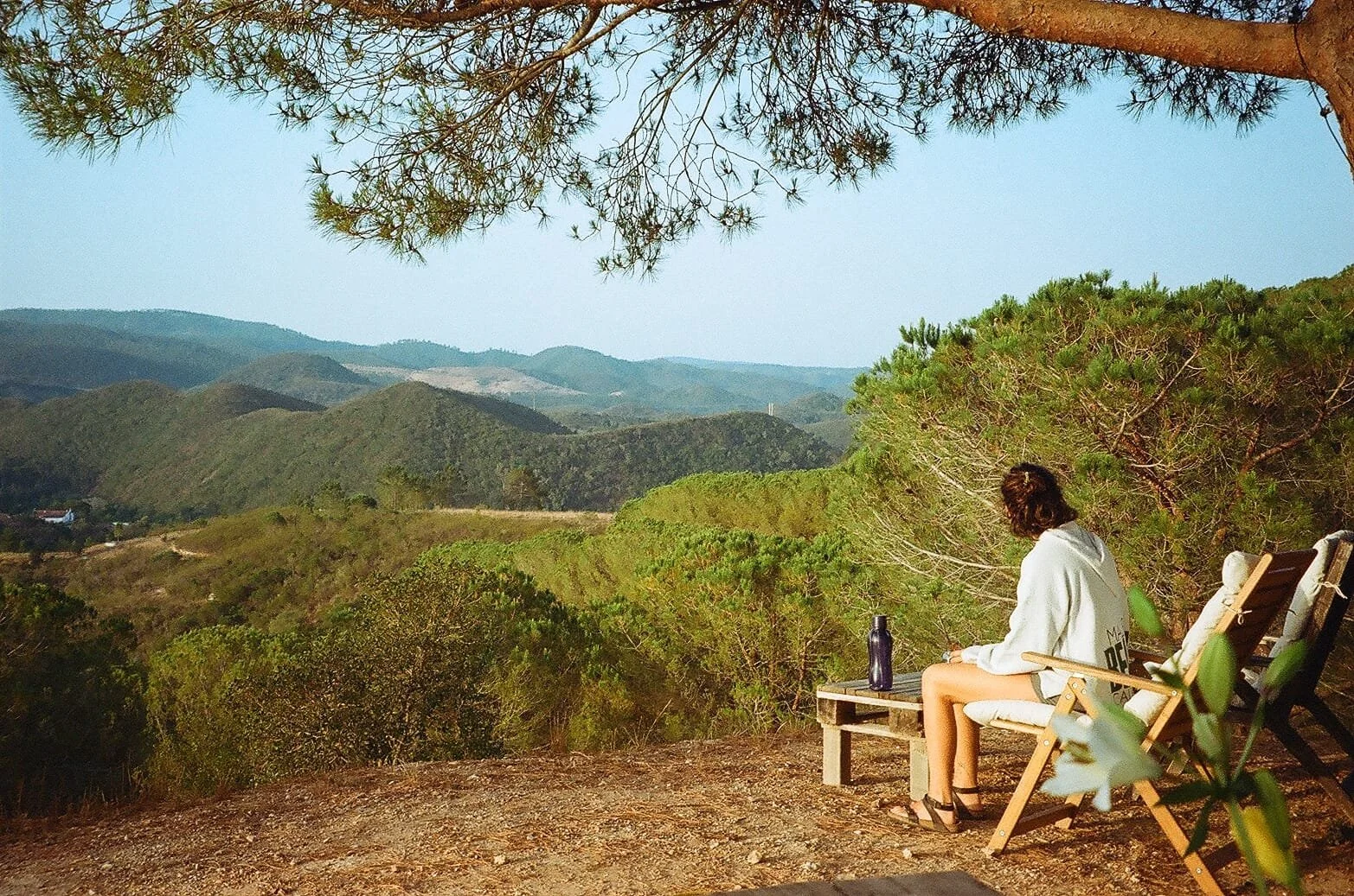 A person sitting on a wooden bench overlooking a scenic mountain landscape with trees and hills under a clear blue sky.