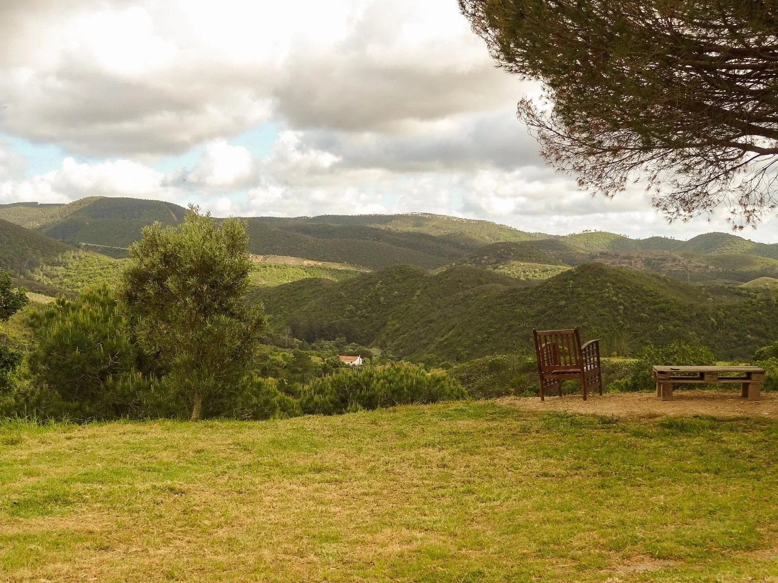 A landscape with green rolling hills, a cloudy sky, and trees. There are two wooden benches on a grassy patch.