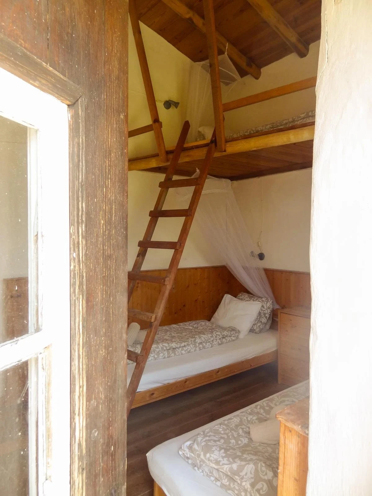 Small bedroom with two beds, one on the lower level and one on an upper loft accessed by a wooden ladder, with wooden walls and ceiling.