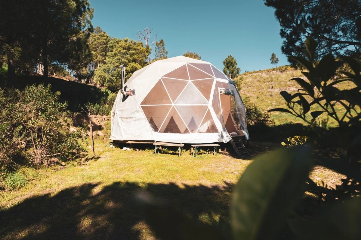 A geodesic dome tent on a grassy area surrounded by trees and bushes with a clear blue sky overhead.