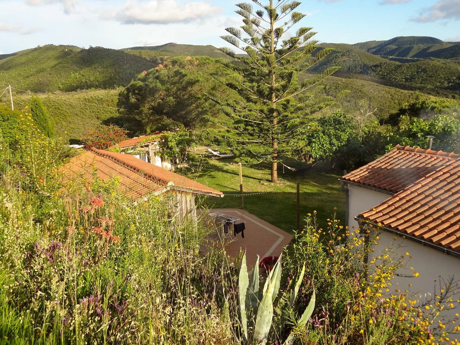 A scenic view of houses with orange-tiled roofs, lush green trees, and rolling hills in the background on a sunny day.