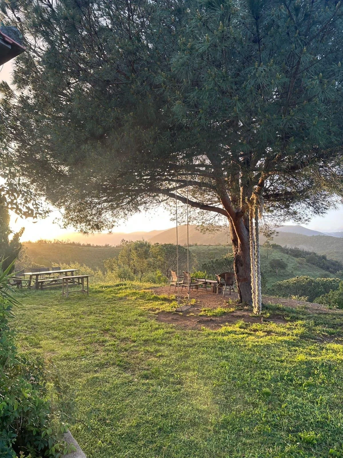 A serene outdoor scene at sunset with a large tree, a swing hanging from the tree, and a table with chairs on grassy terrain, overlooking rolling hills.