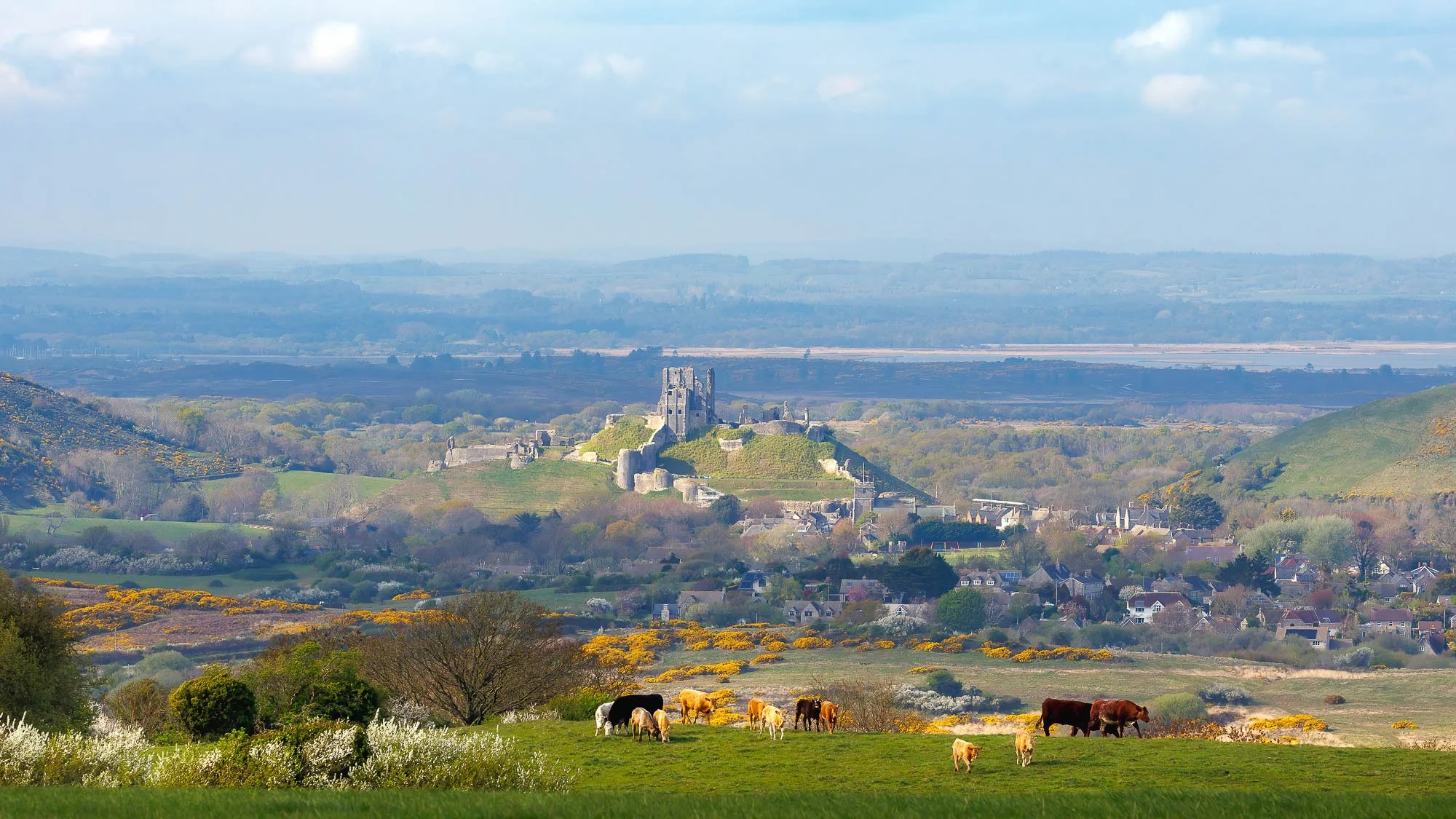 Corfe Castle