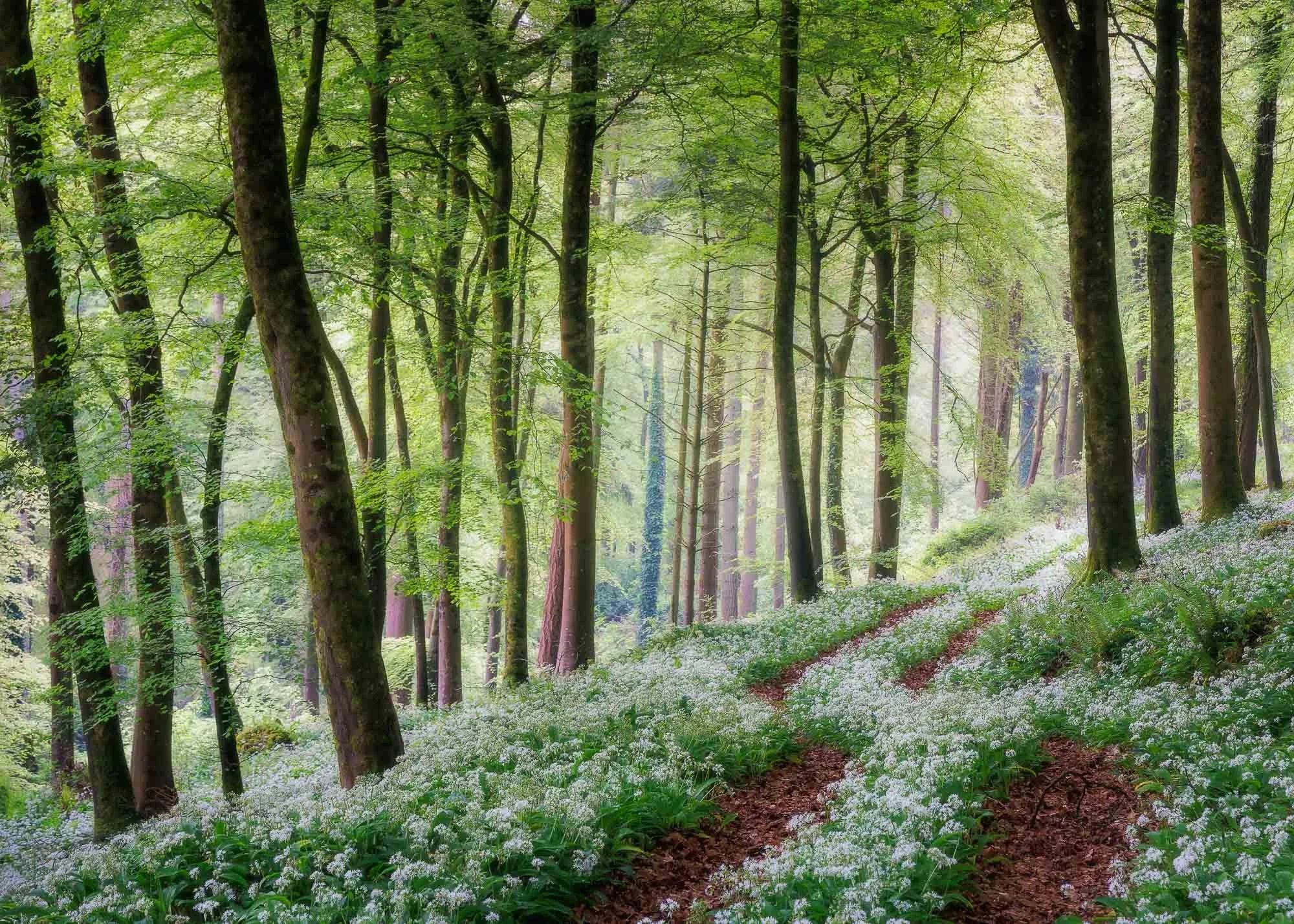 Garlic Track