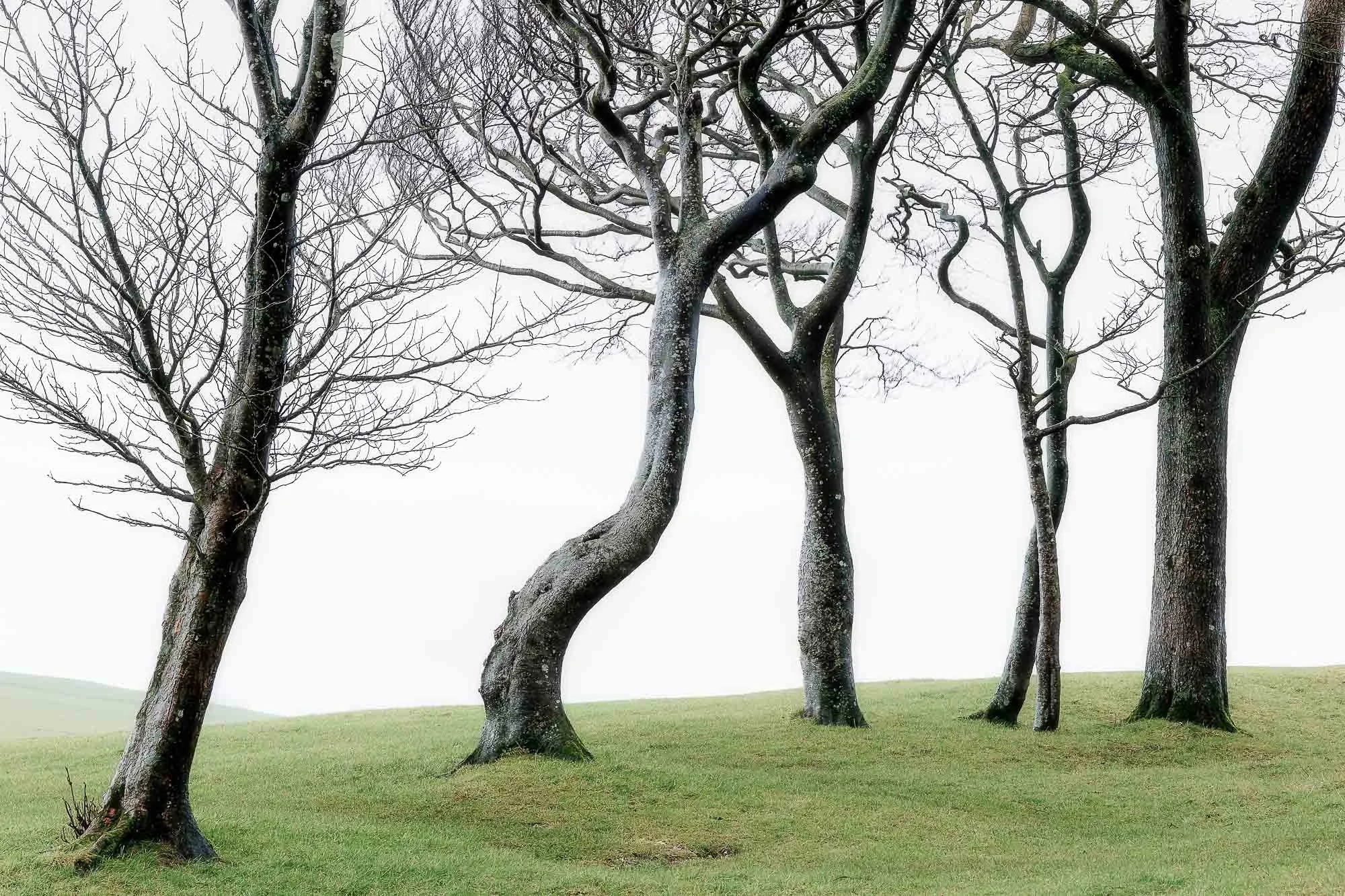 Beeches Chantry Hill West Sussex