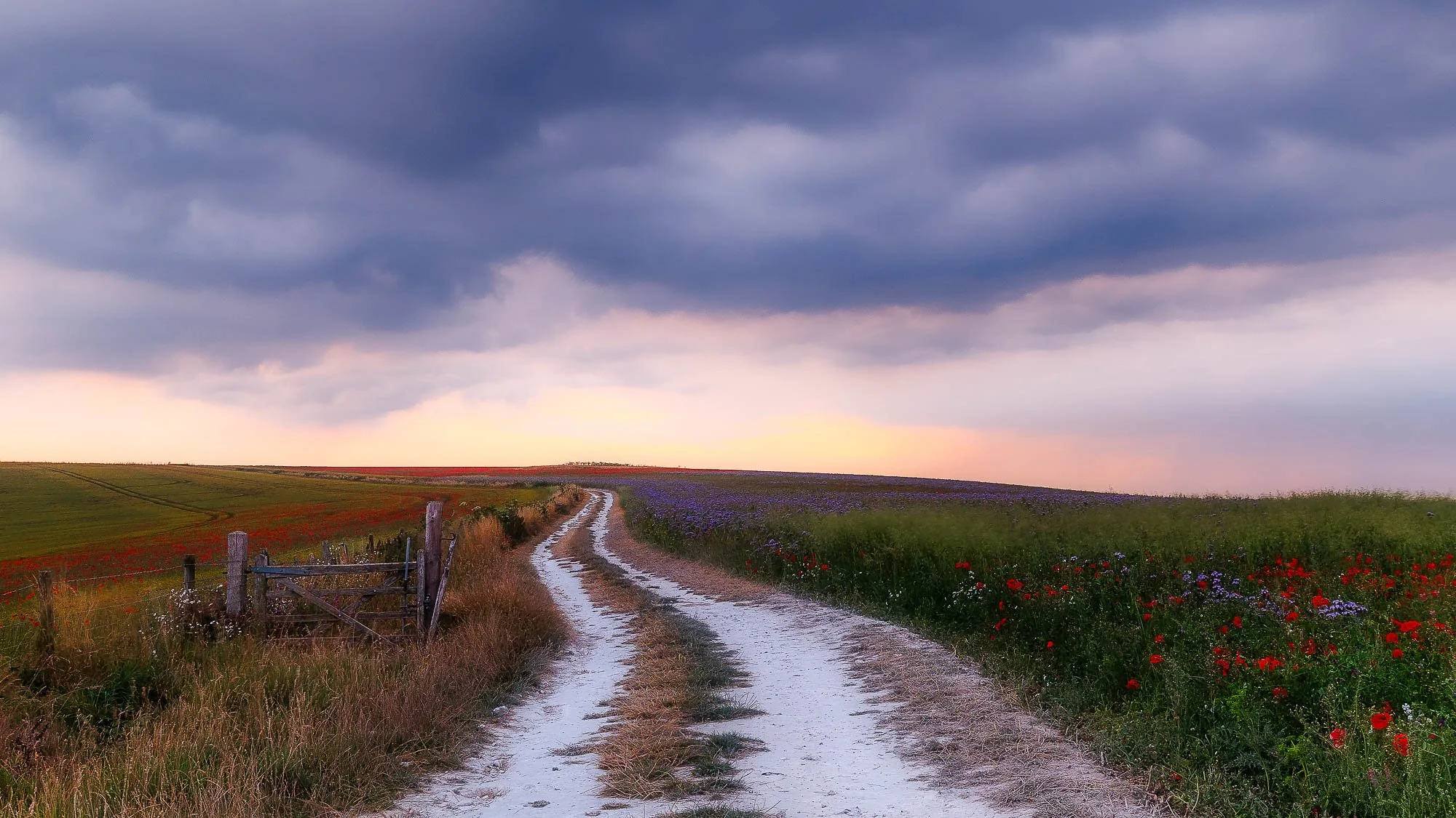 Incoming Storm, South Downs