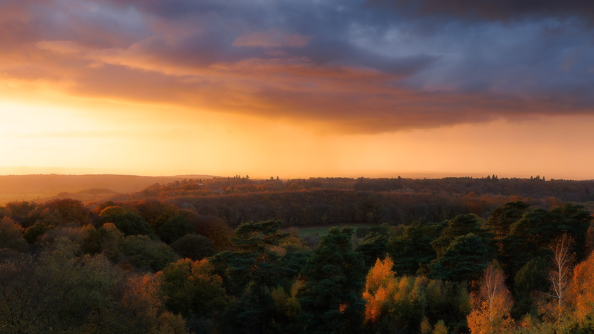 Last of the Light, South Downs
