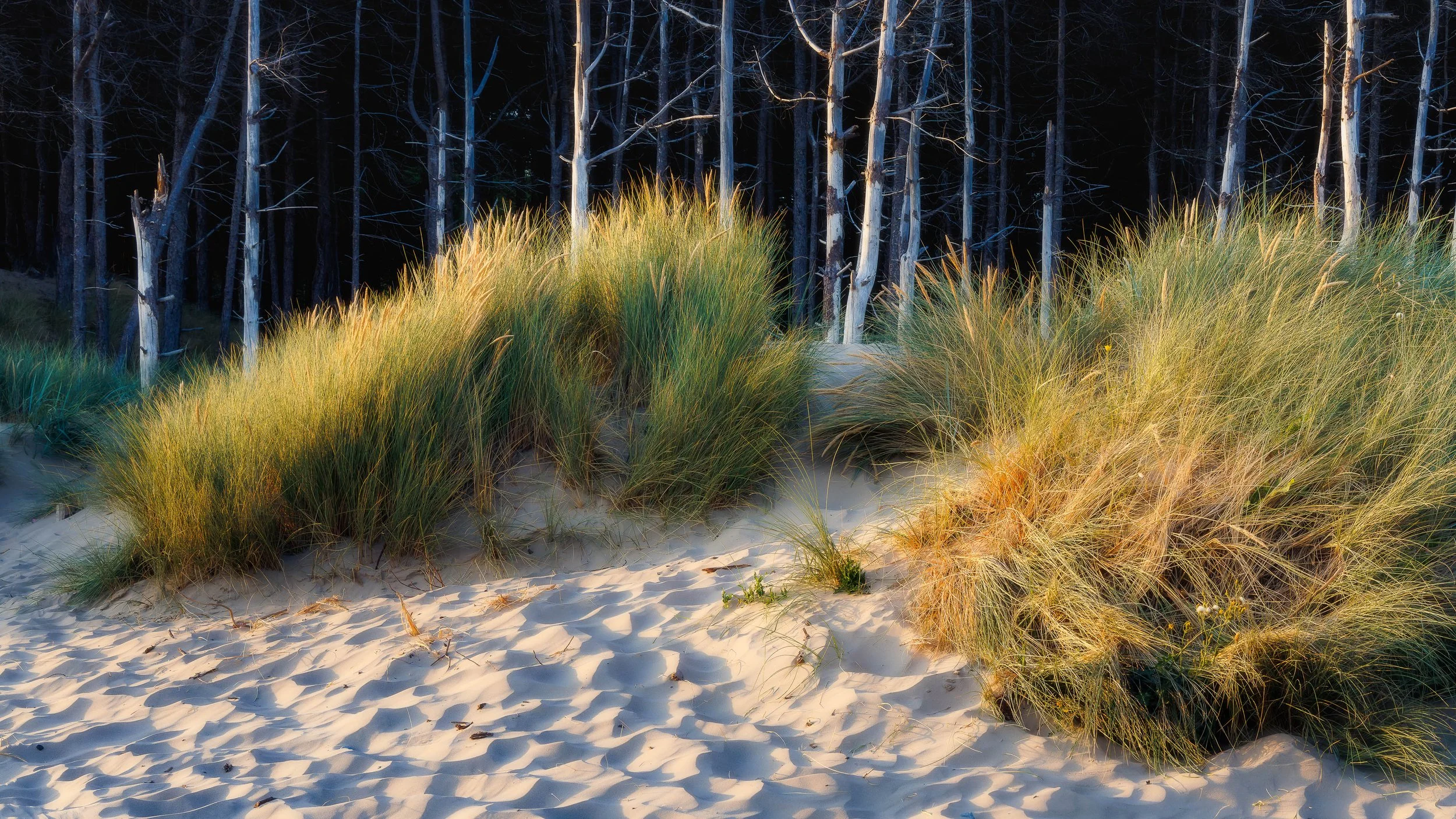 Dunes, Wales