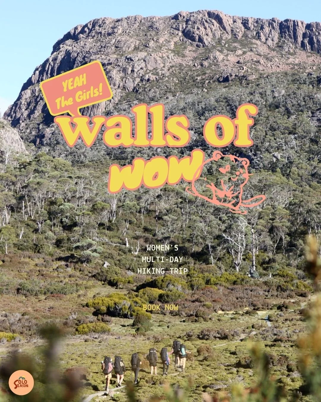 Walls Of Wow 