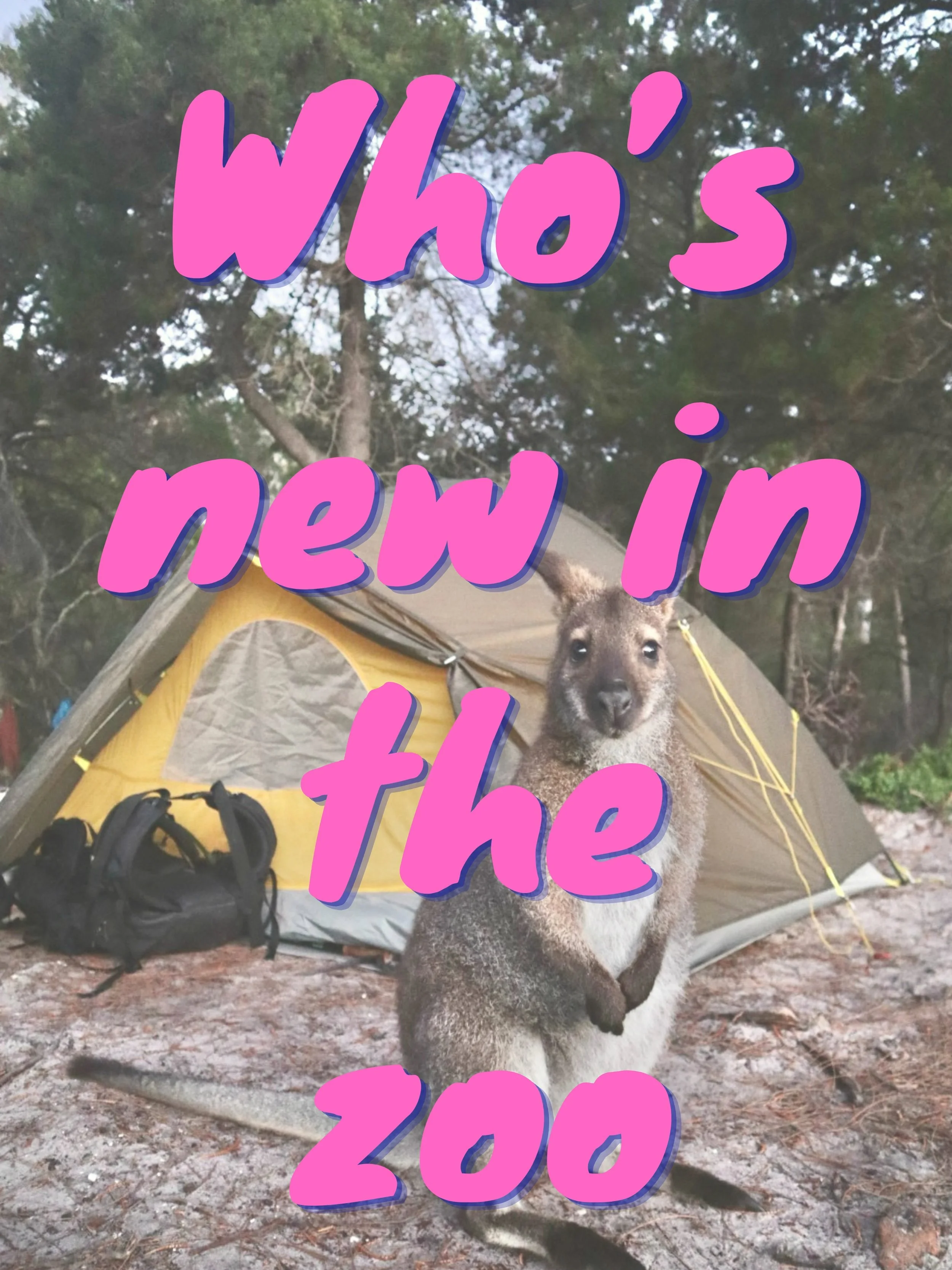 We have some very exciting news!!! Solo Season is growing, and that meant it was time to expand our team 💫

We are so excited to introduce a few incredible new guides who are joining us - Molly, Loo and Luce. These legends know and love Tassie, whet