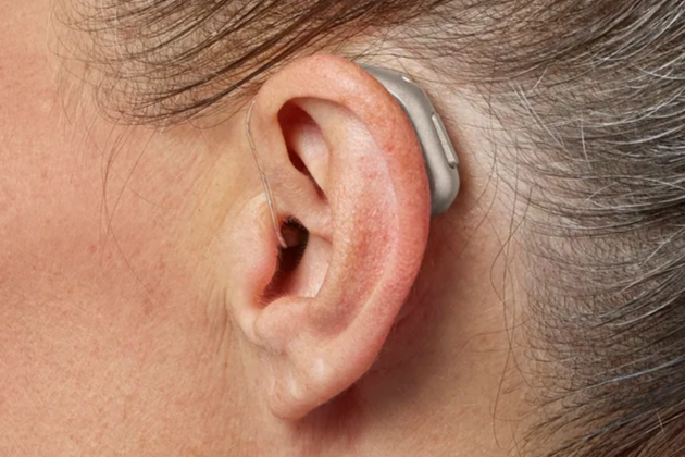 A receiver in the ear hearing aid