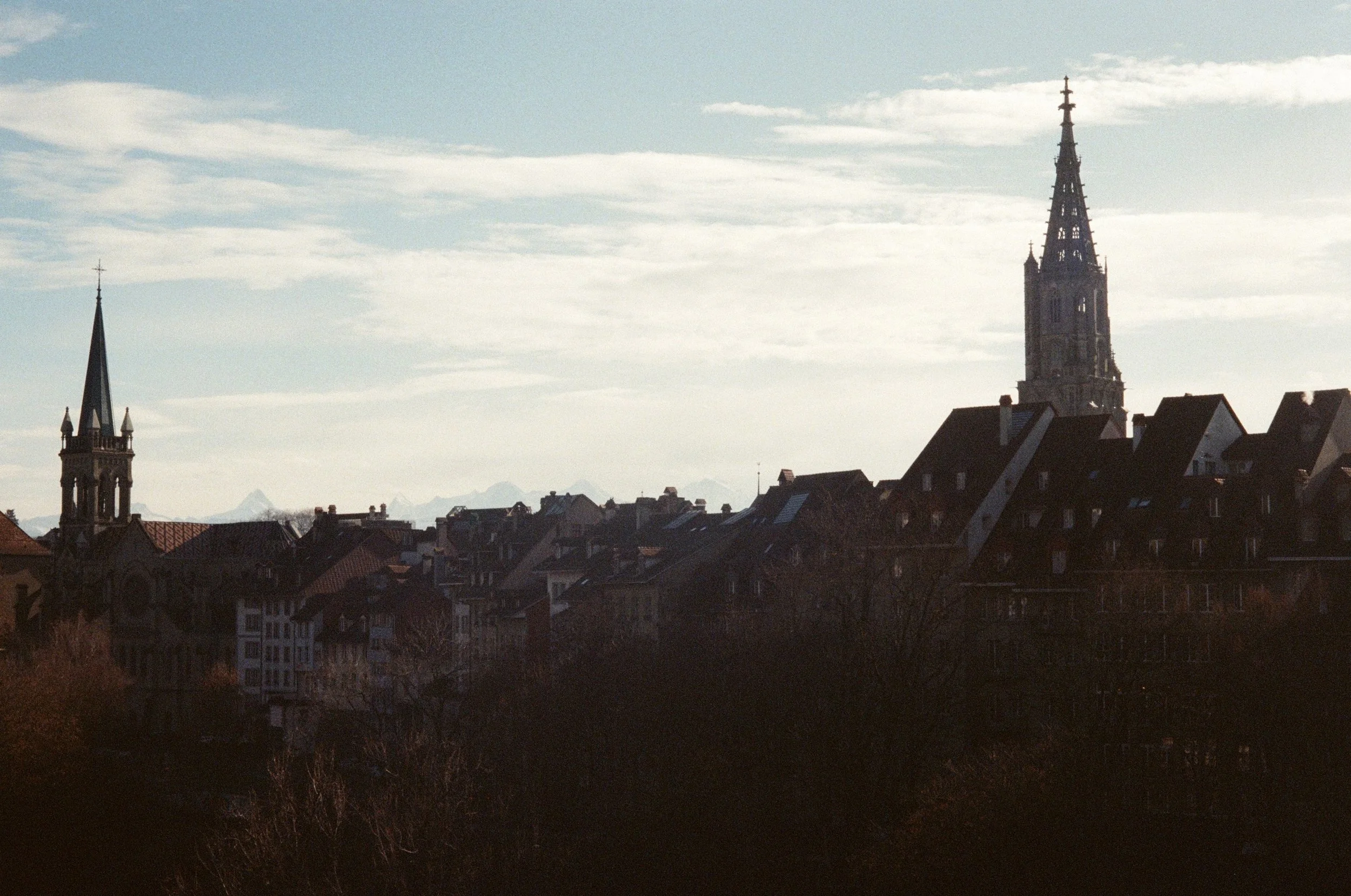 THE LORD AND THE LION SERIES: SUCCESSION // There is no point in being a damn fool about it.