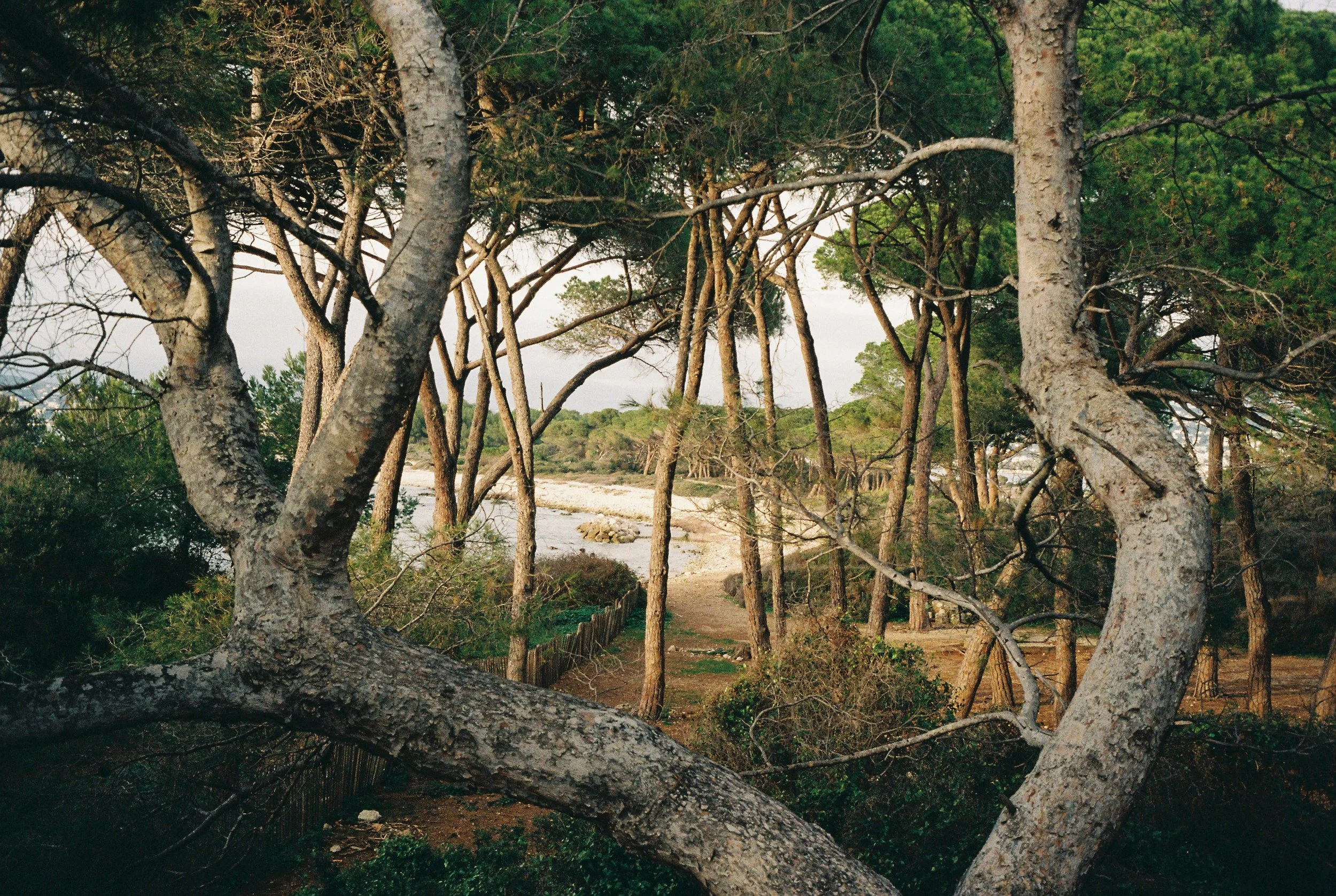 RIVIERA SERIES: ANTIFRAGILE // Get used to the right and stop justifying the usual.