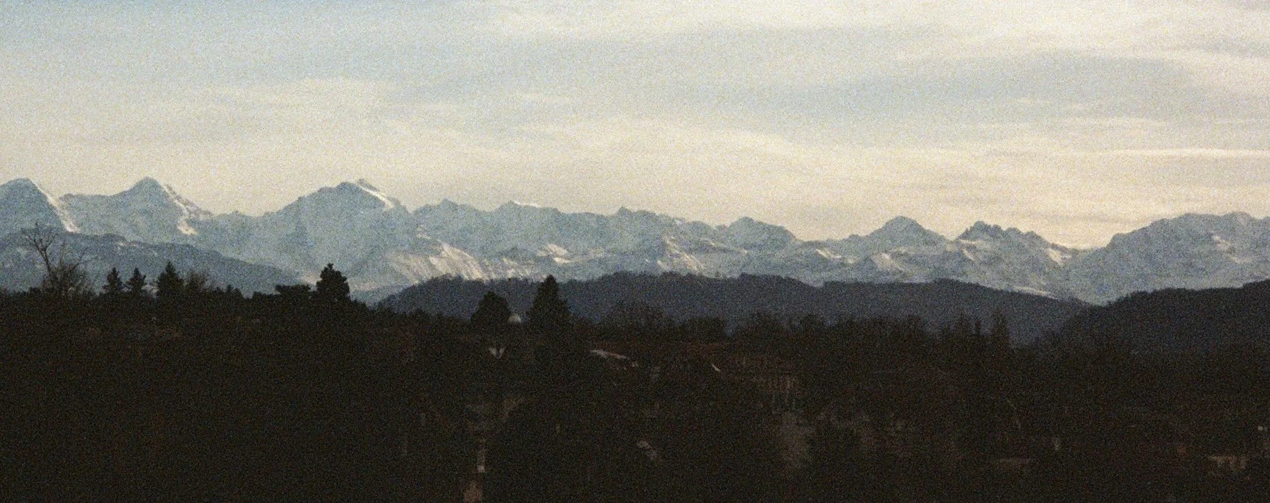 THE LORD AND THE LION SERIES: UNDERSTANDING // A fool sees not the same tree that a wise man sees.