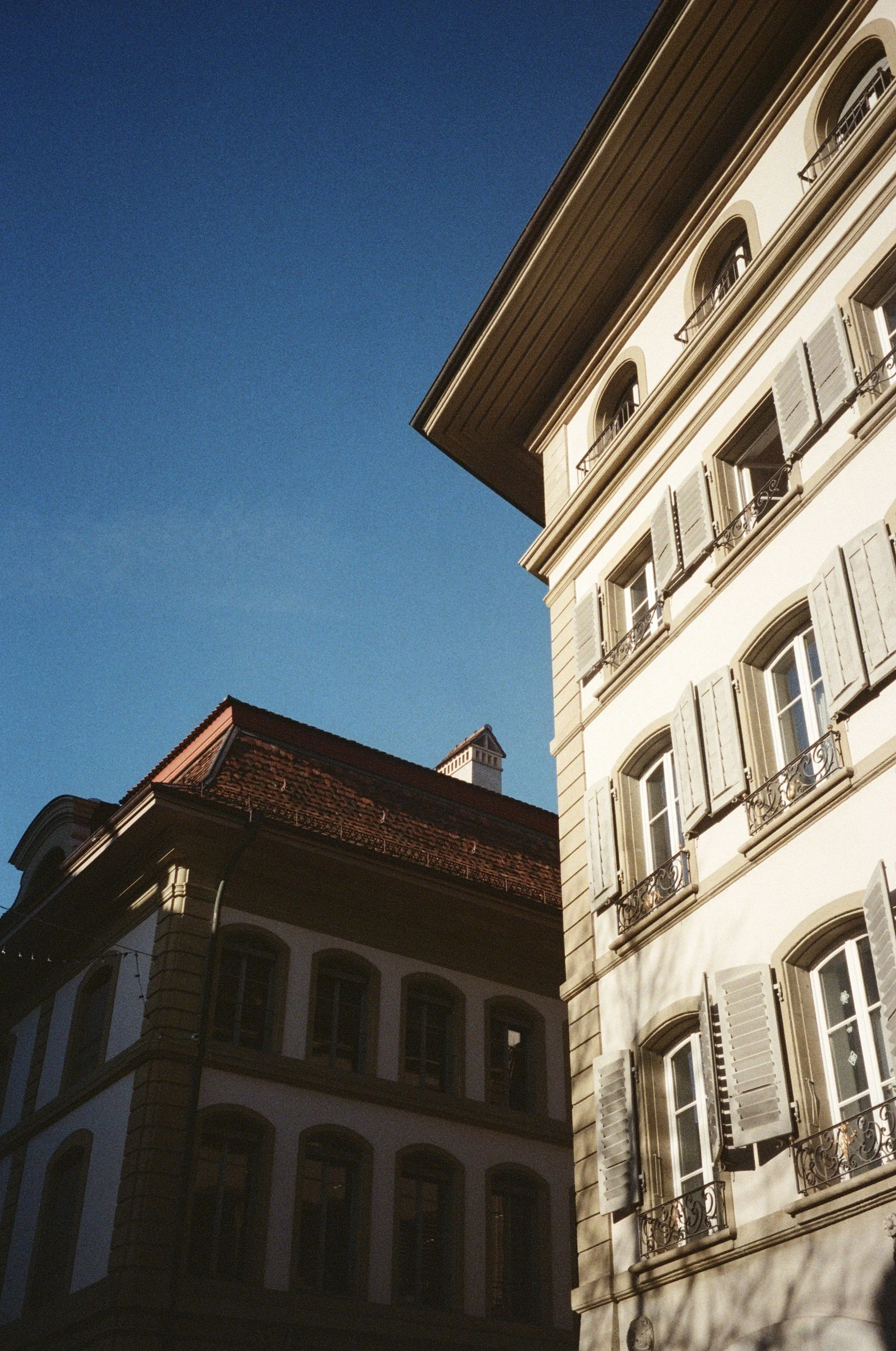 THE LORD AND THE LION SERIES: CONTROVERSIES // The true work of art is but a shadow of the divine perfection.