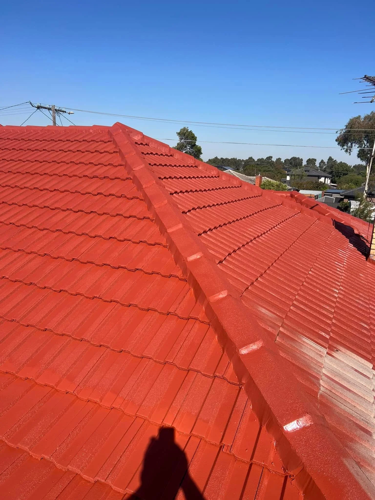 Roof Restoration