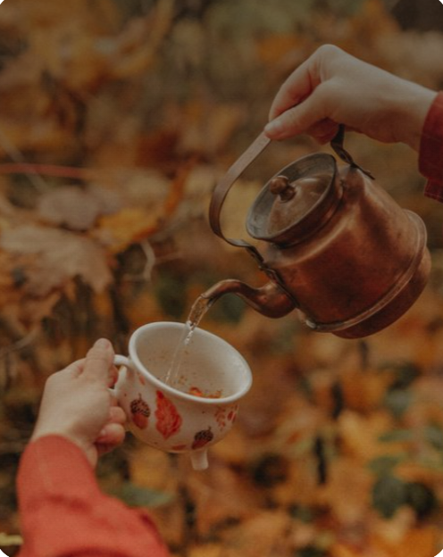Automne &amp; Poumon : saisir l’énergie de la saison