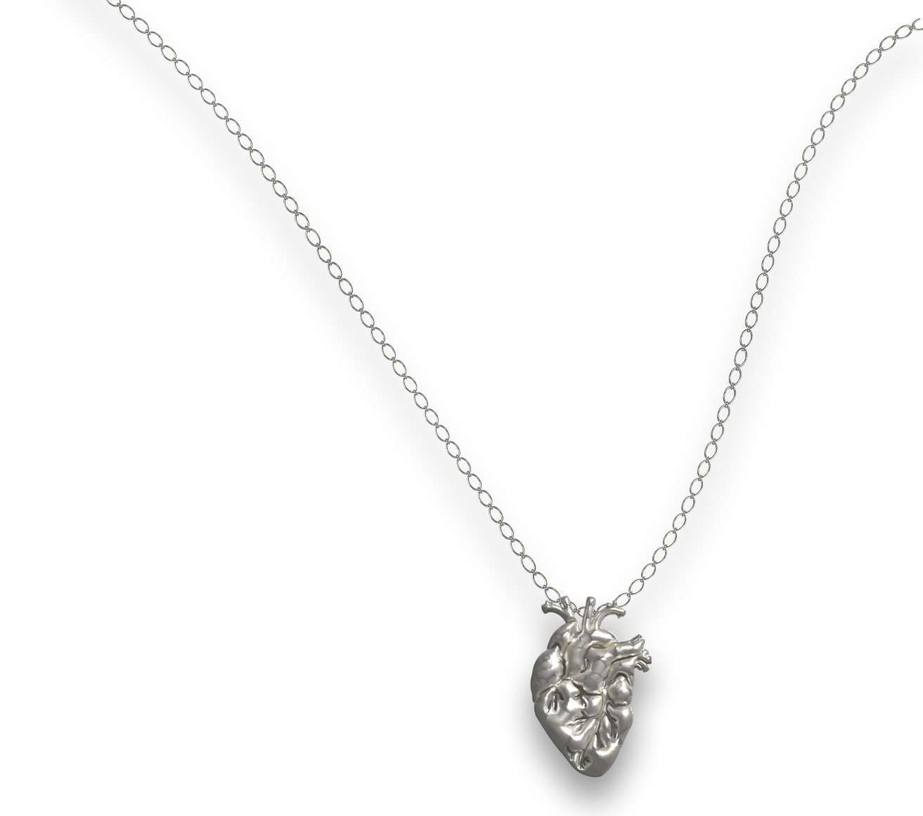 anatomically correct heart necklace
