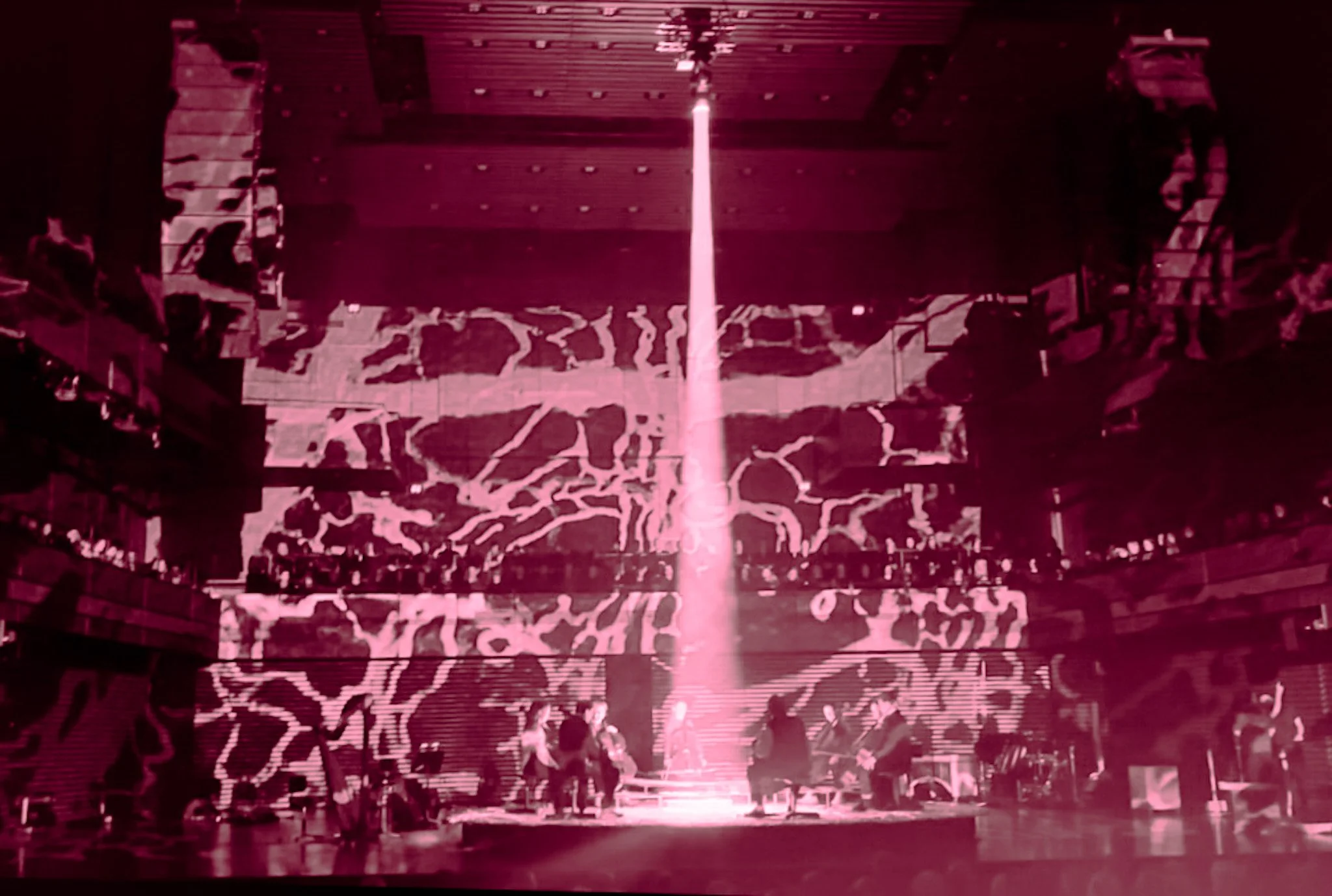 Copy of IMG_3540.jpg