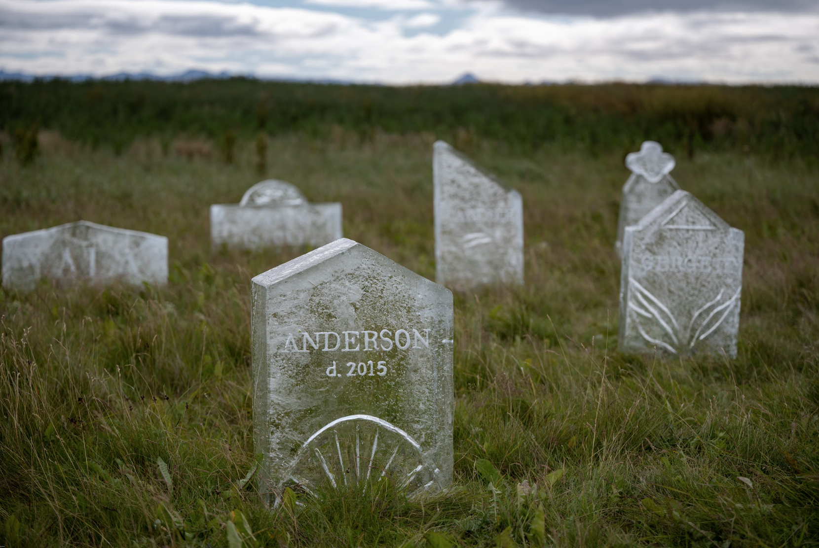 Screenshot 2025-08-11 at 11.56.01.png