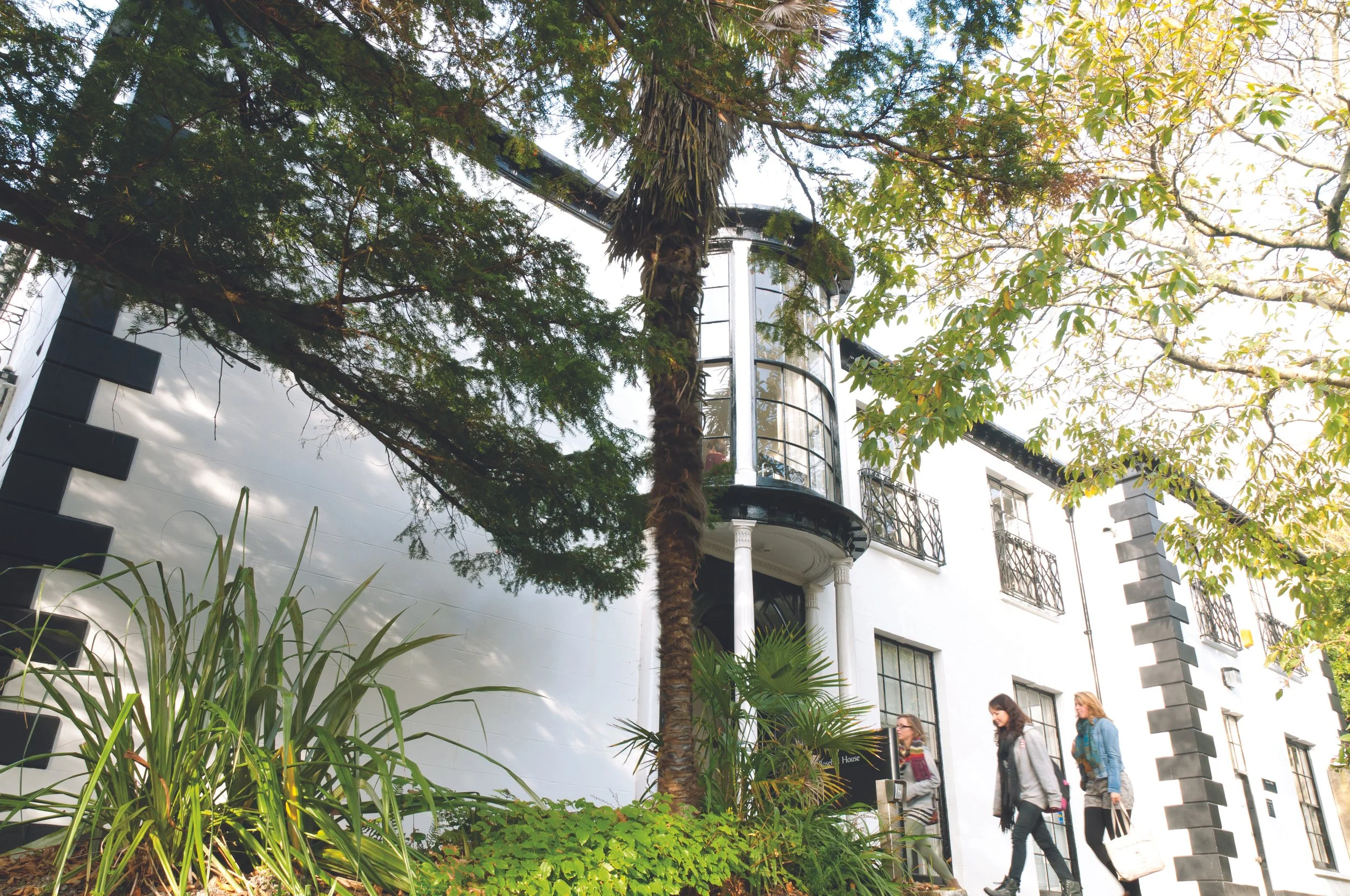 Campus Building at Falmouth University - white stucco walls, glass surrounded by trees.