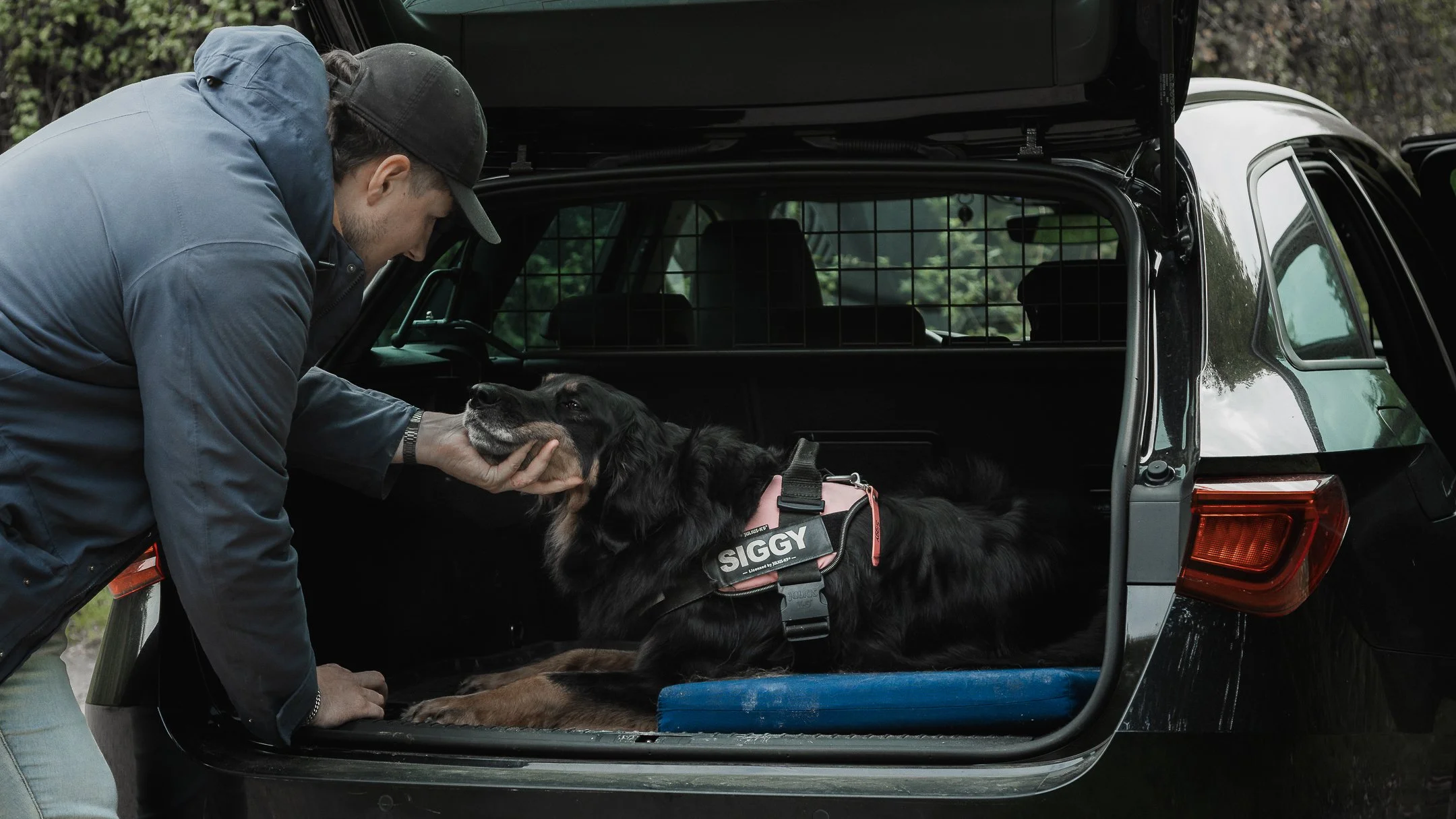 Waterbos scene Siggy donker.jpg