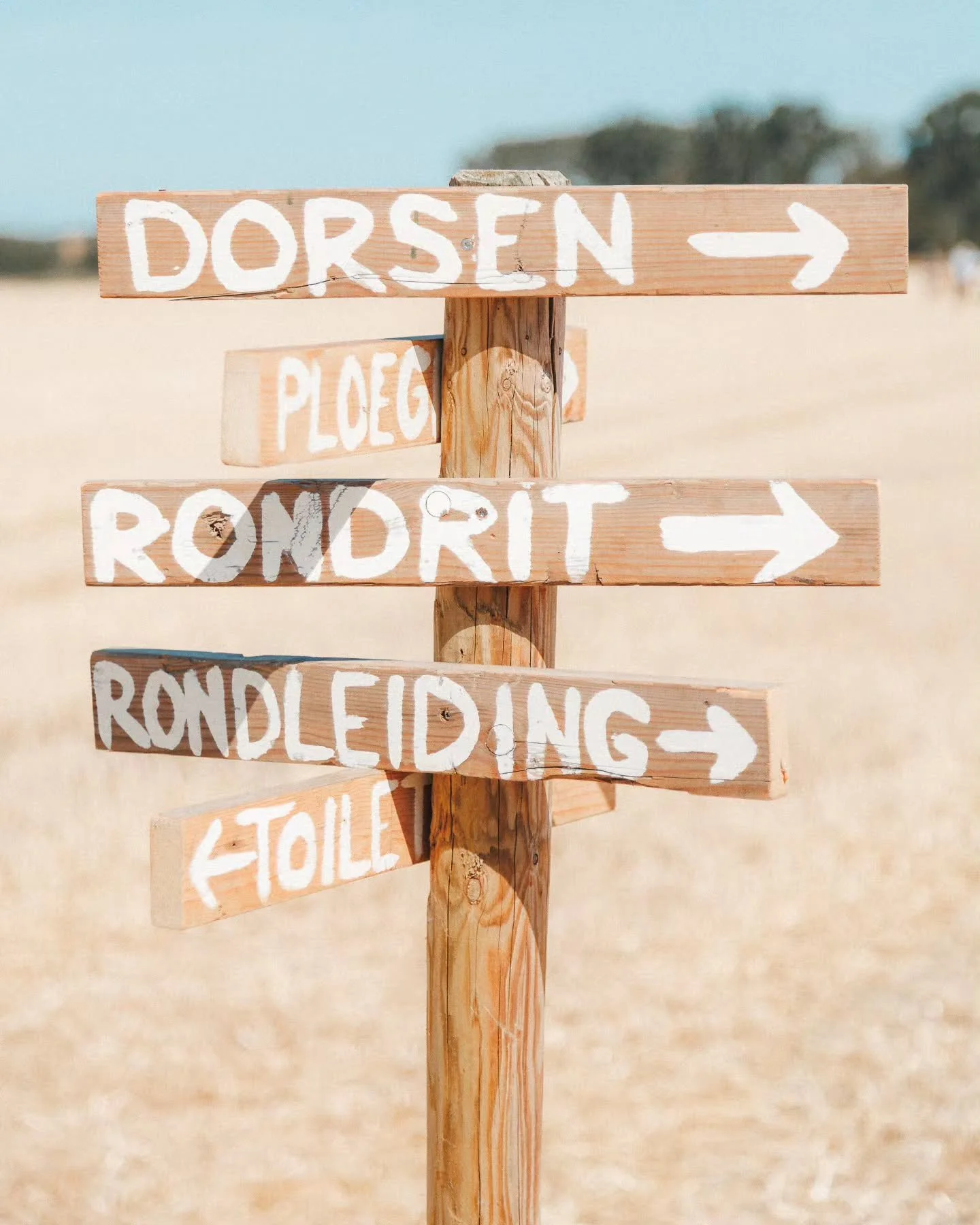 Gisteren was ik op de Oogstdag in Oostkapelle en daar heb ik mijn ogen uitgekeken 👀
Mocht je dit tegenkomen en je hebt tijd is het zeker de moeite waard om eens even te kijken! Er werden landbouwtechnieken van toen en nu gedemonstreerd, super leuk👌