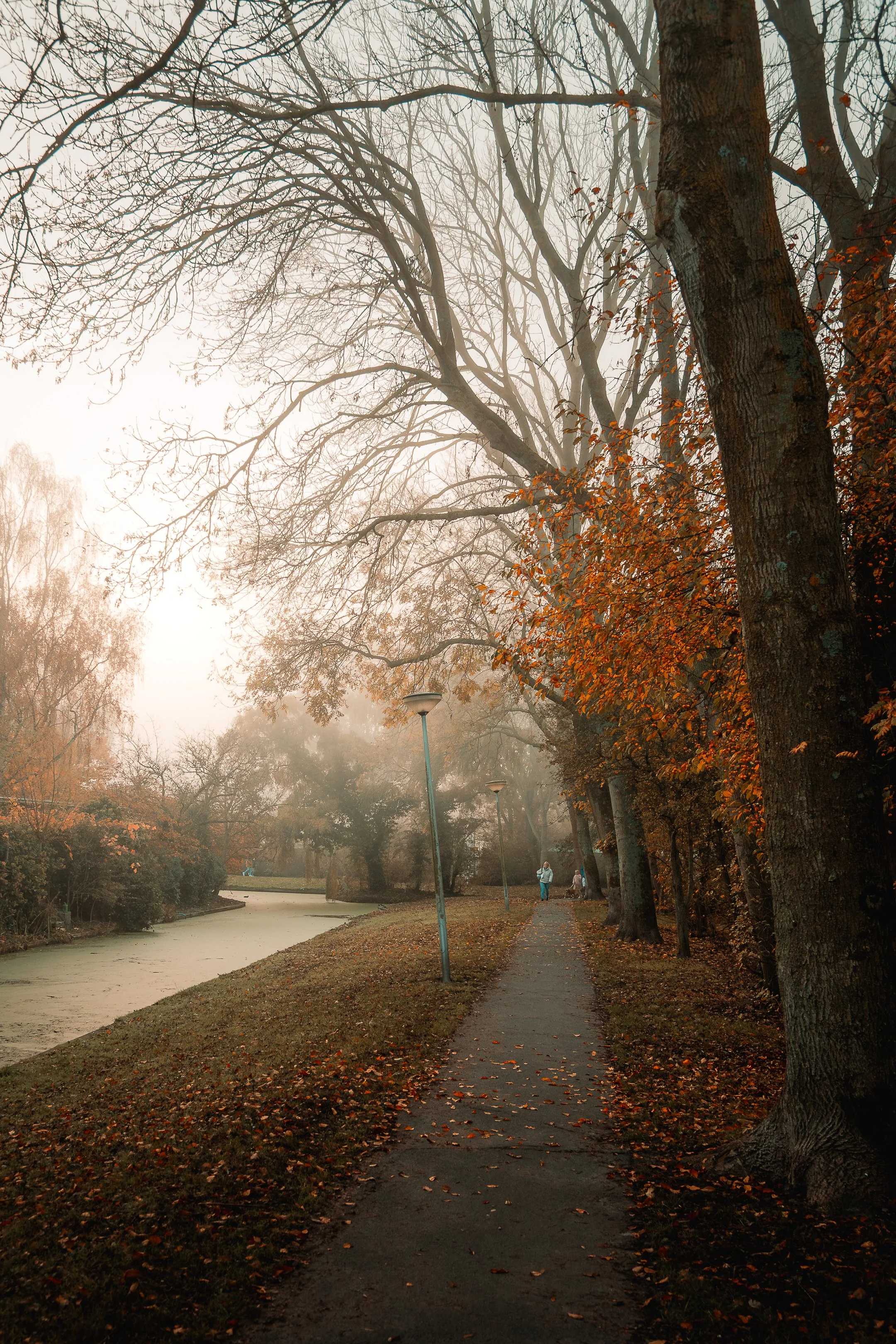 rondje rockanje-2.jpg