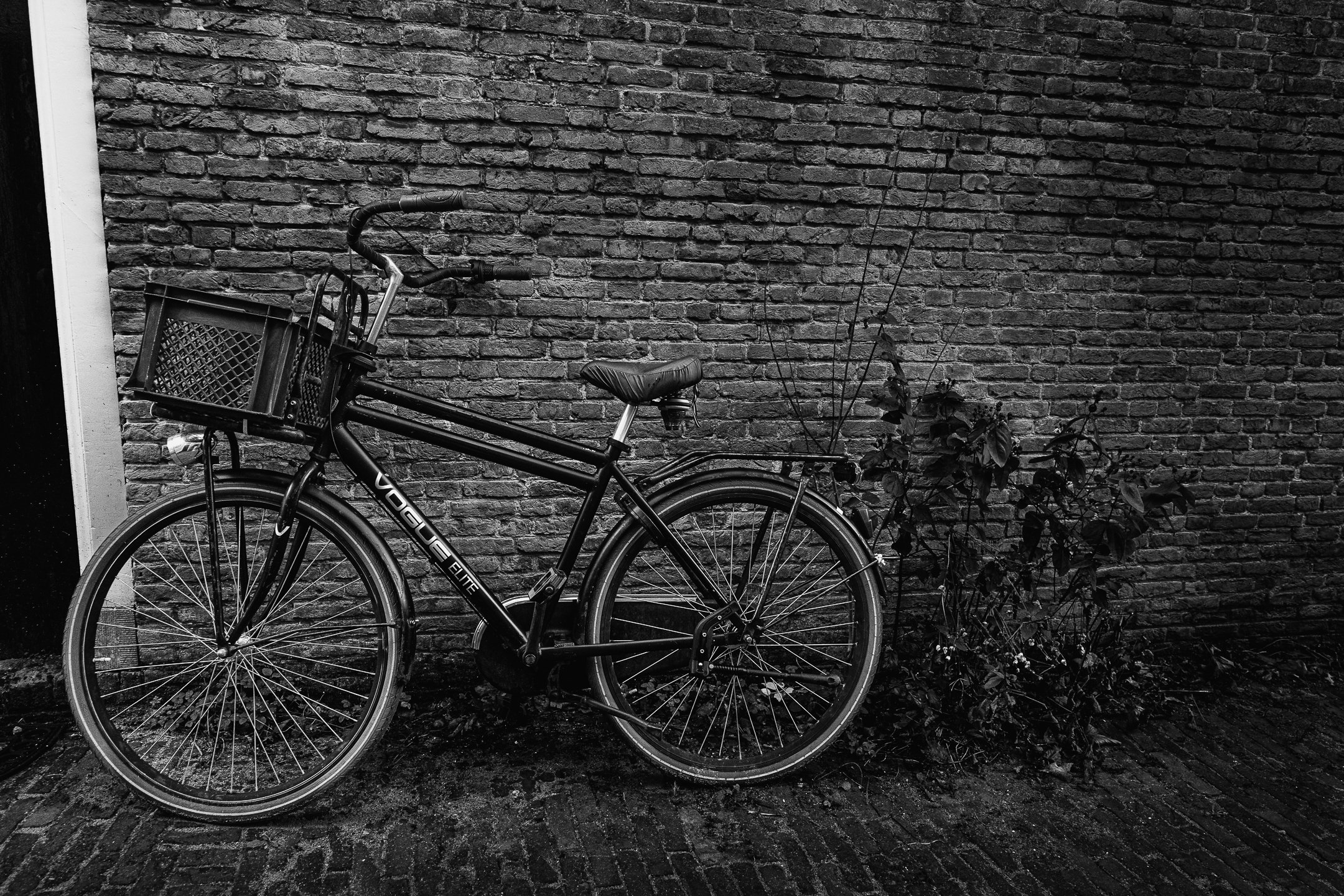 wandeling brielle-4.jpg