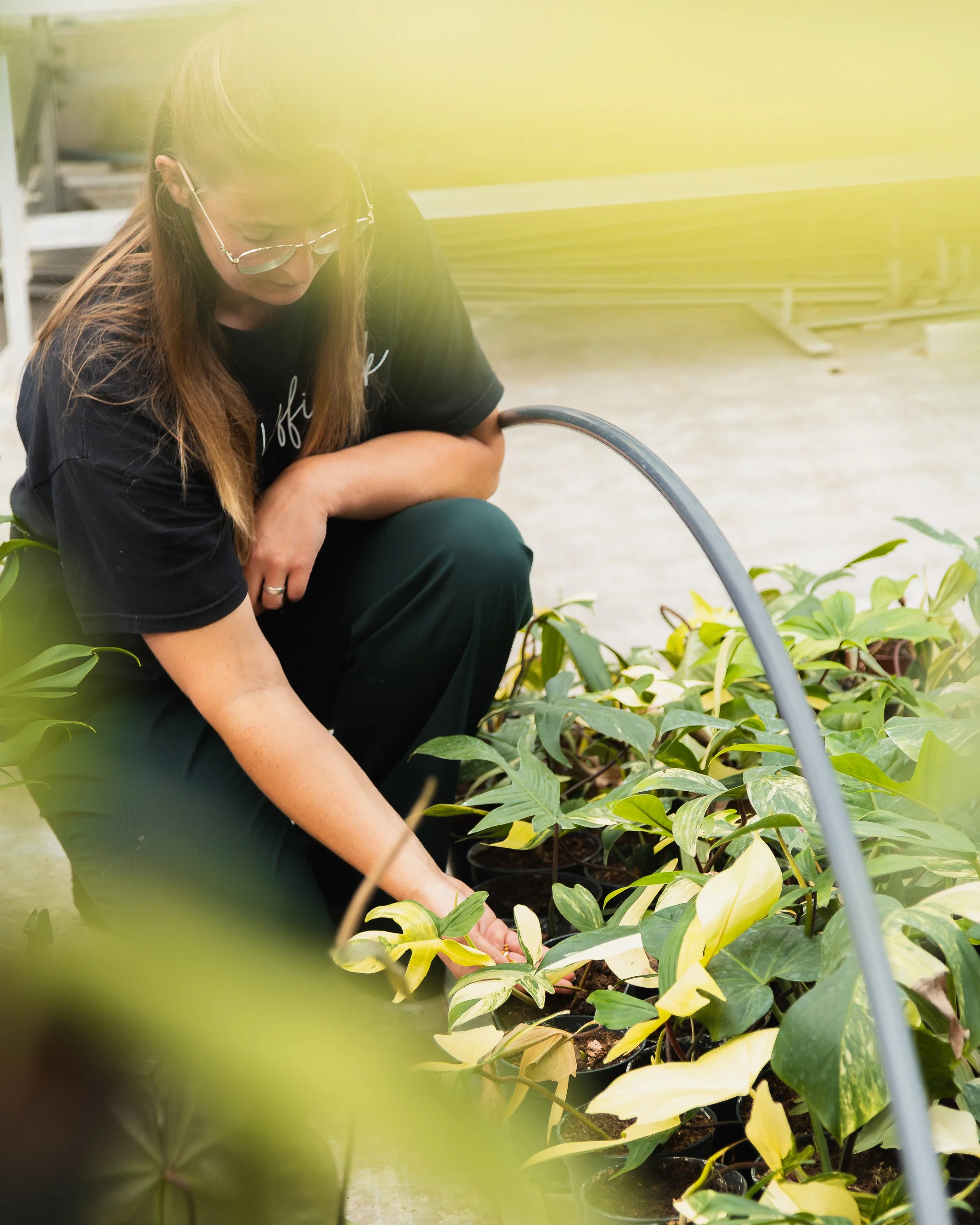 De Koffiestek - Naaldwijk 14-7-29.jpg