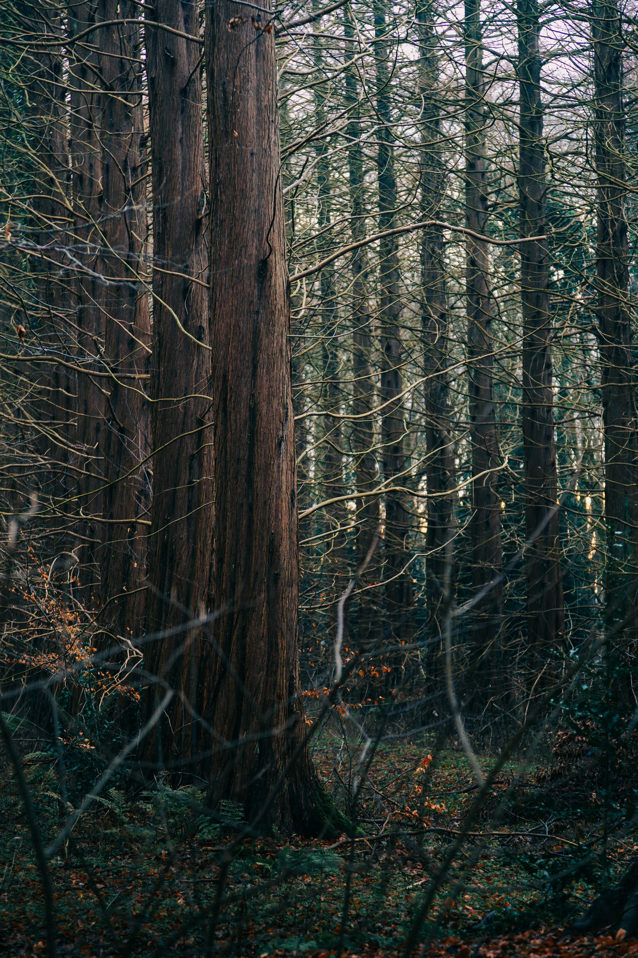 Wandeling zondag-12.jpg