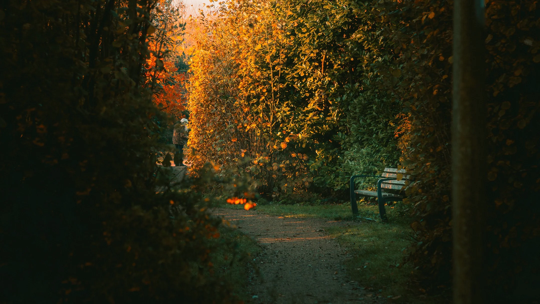 rondje brielle-2.jpg