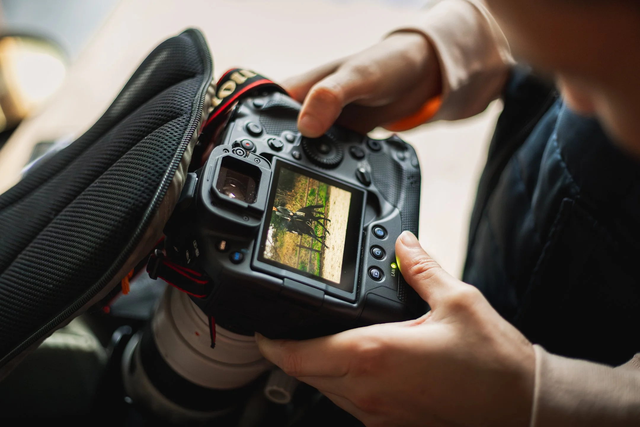 Bionda en Niels keuken-1.jpg