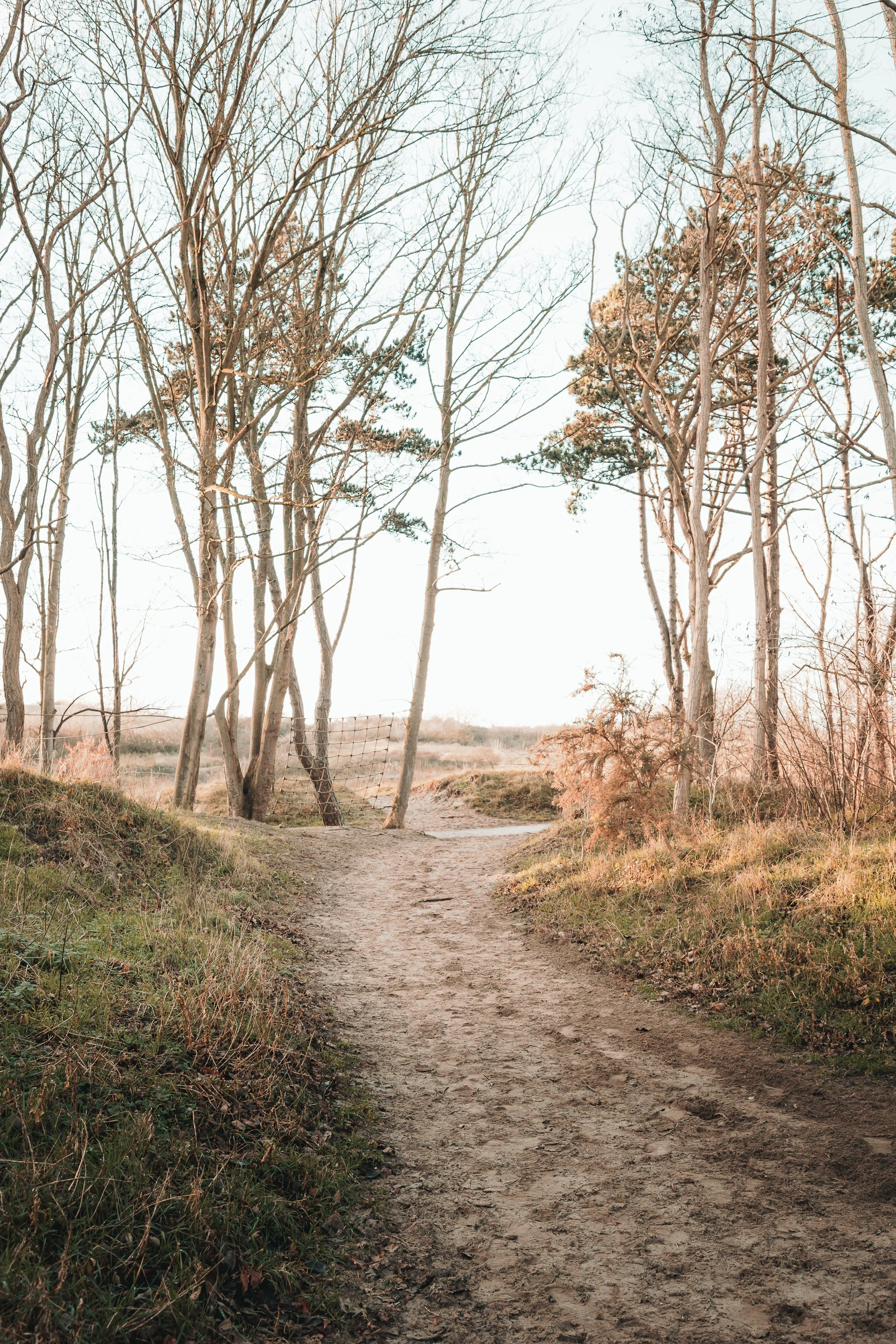 wandeling vakantie-1.jpg