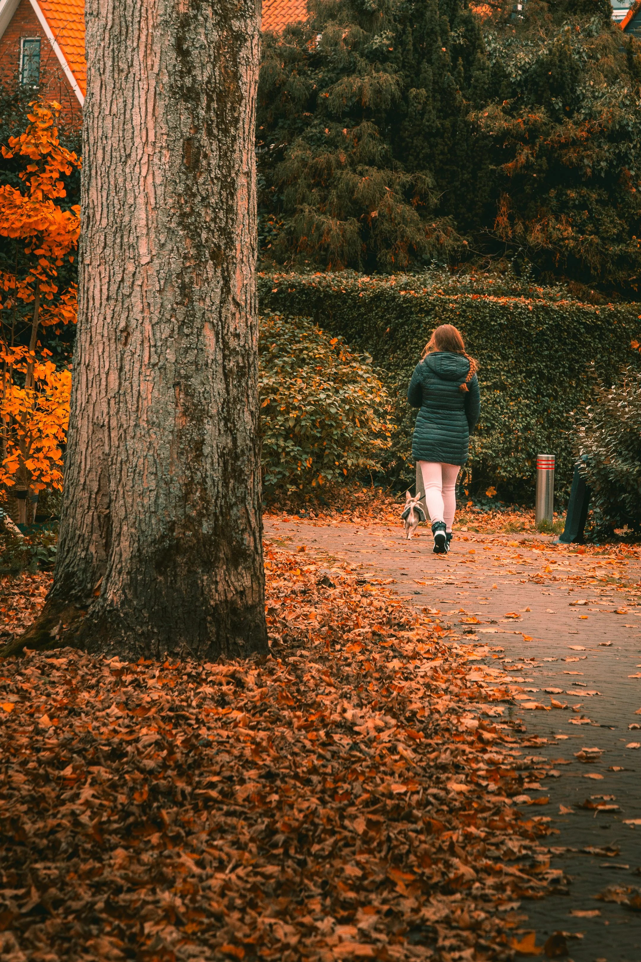 rondje brielle-16.jpg