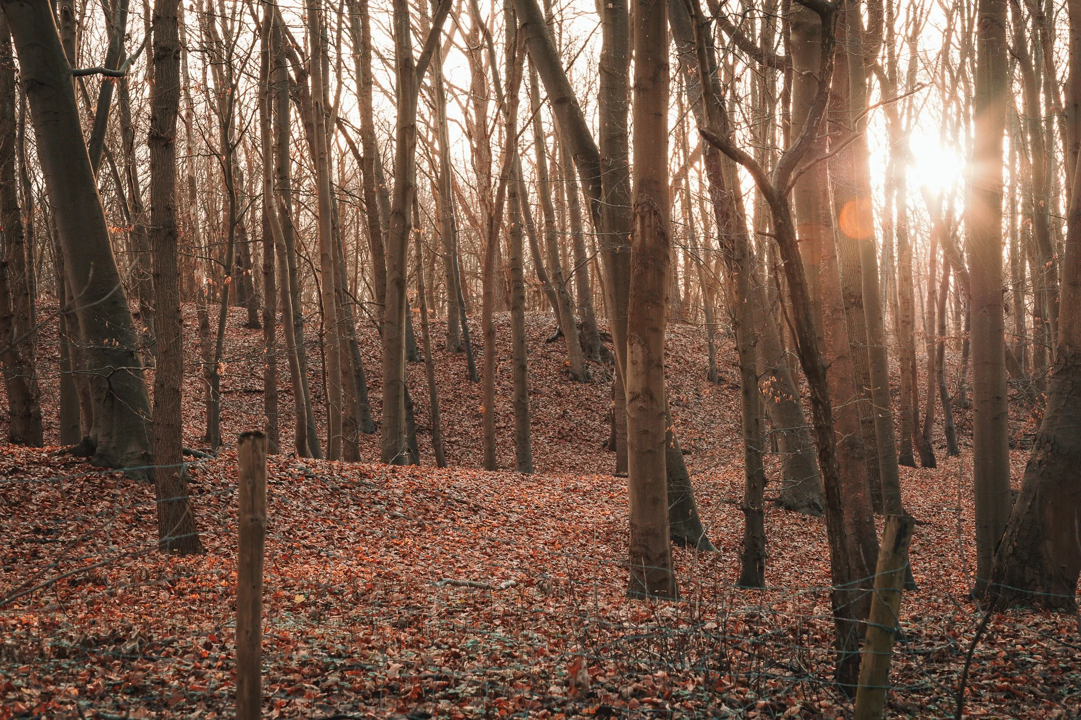 wandeling vakantie-11.jpg