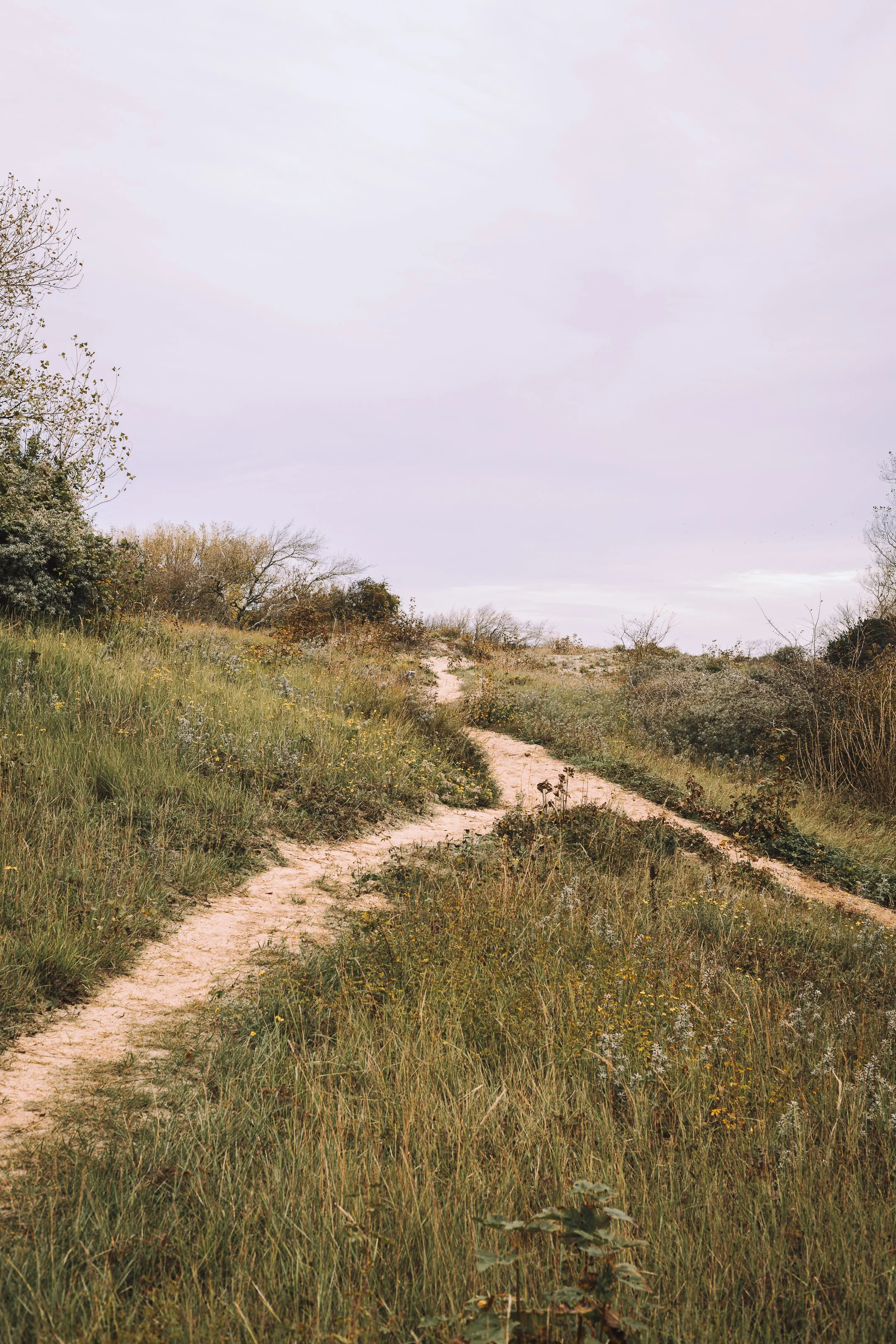 ochtend wandeling-17.jpg