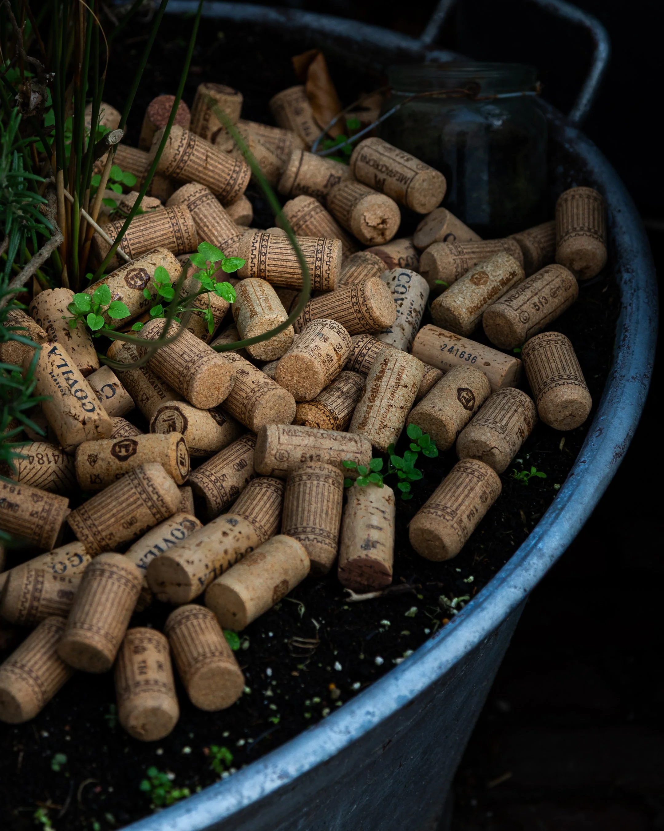 wandeling brielle-2.jpg