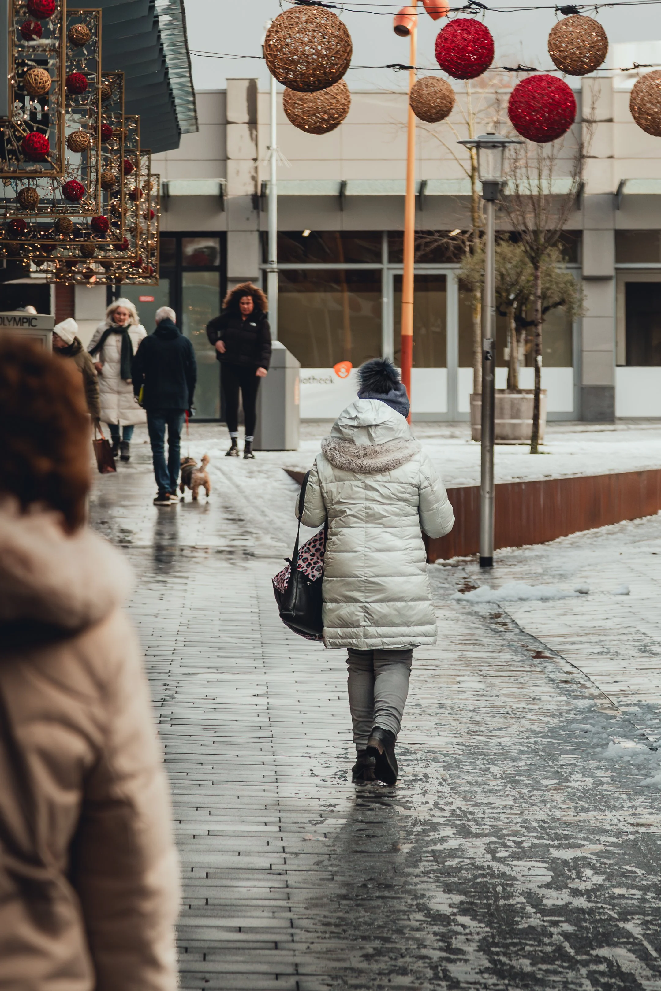 Hellevoetsluis januari-9.jpg