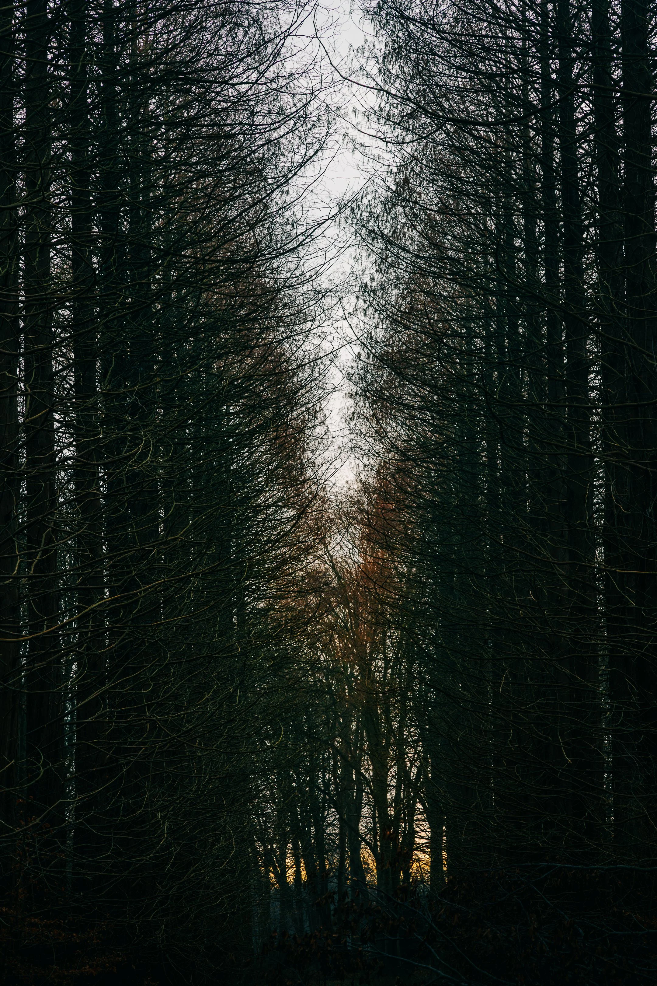 Wandeling zondag-13.jpg