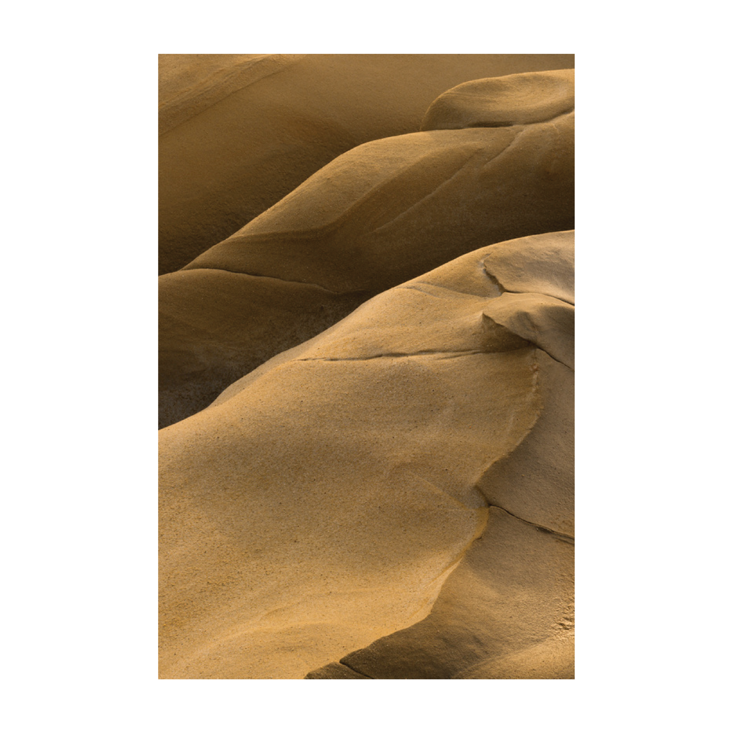 g_silvio_print_collection-08.png