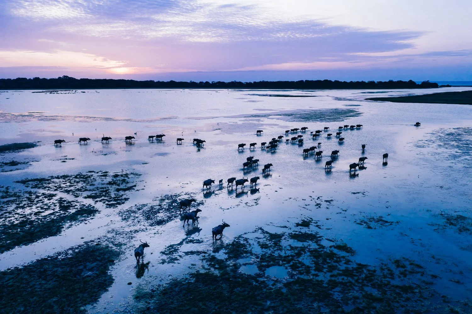 Sri Lanka, Creating Images That Serve