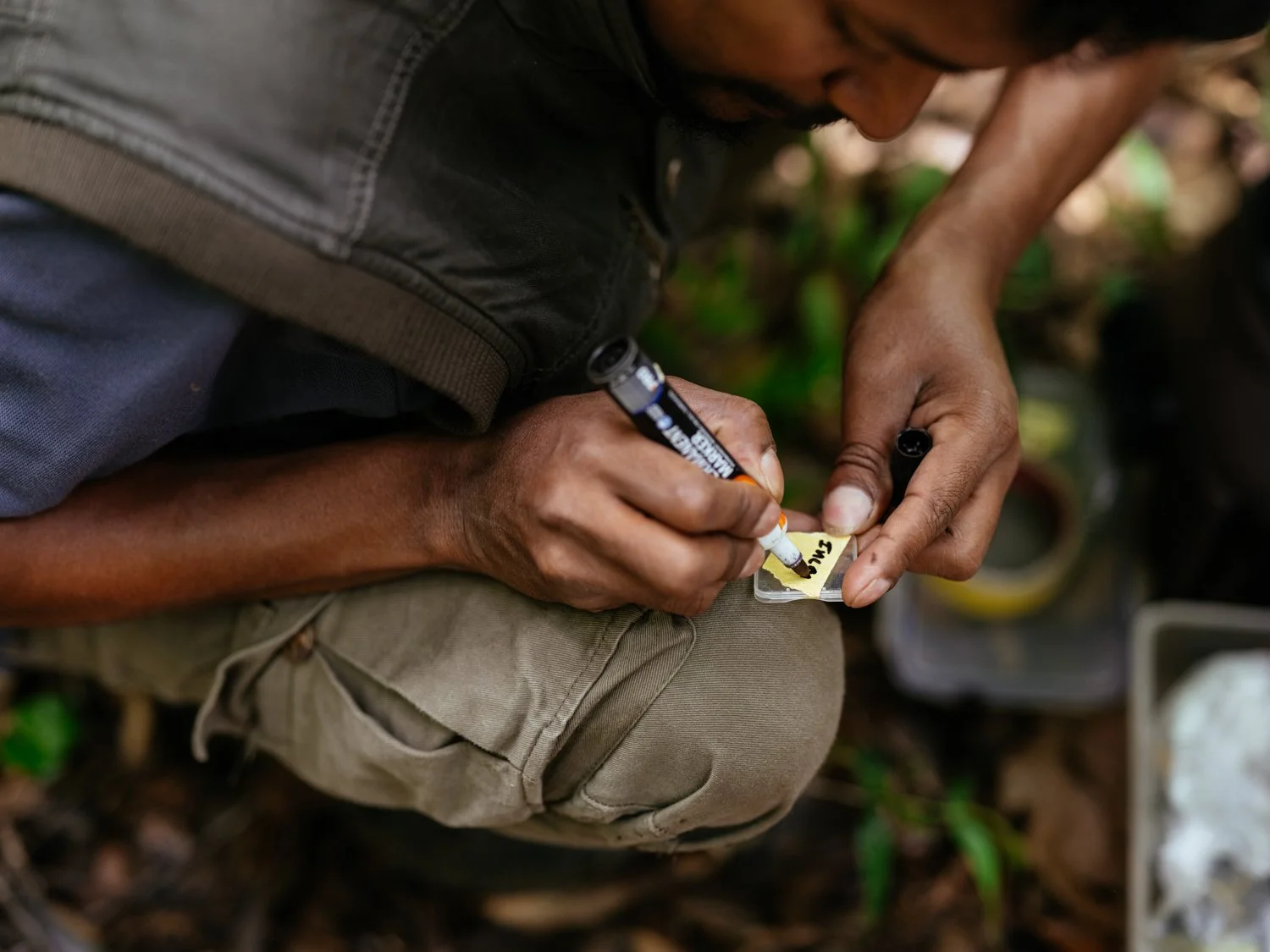 Project_CorridorsforConservation_SR_20260630_164.jpg
