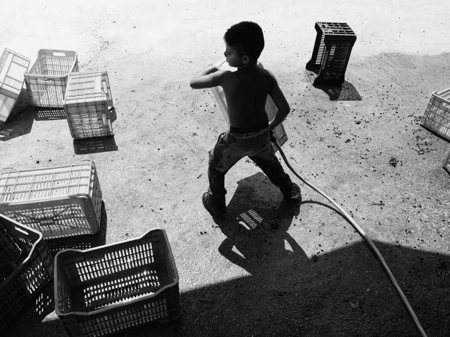 MAK_Harvest_August2026__118_B&W1500px.jpg